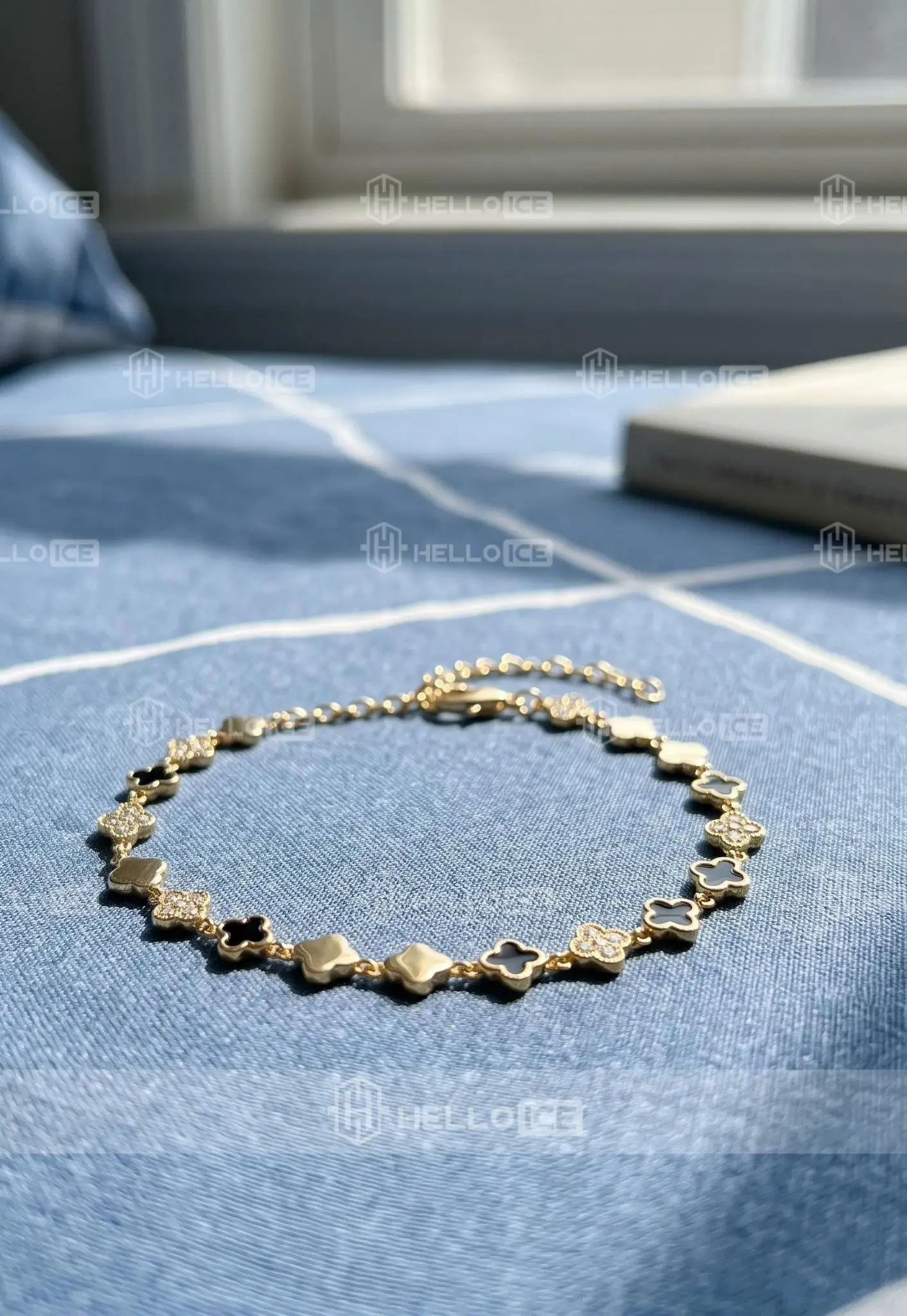 Helloice Review Image