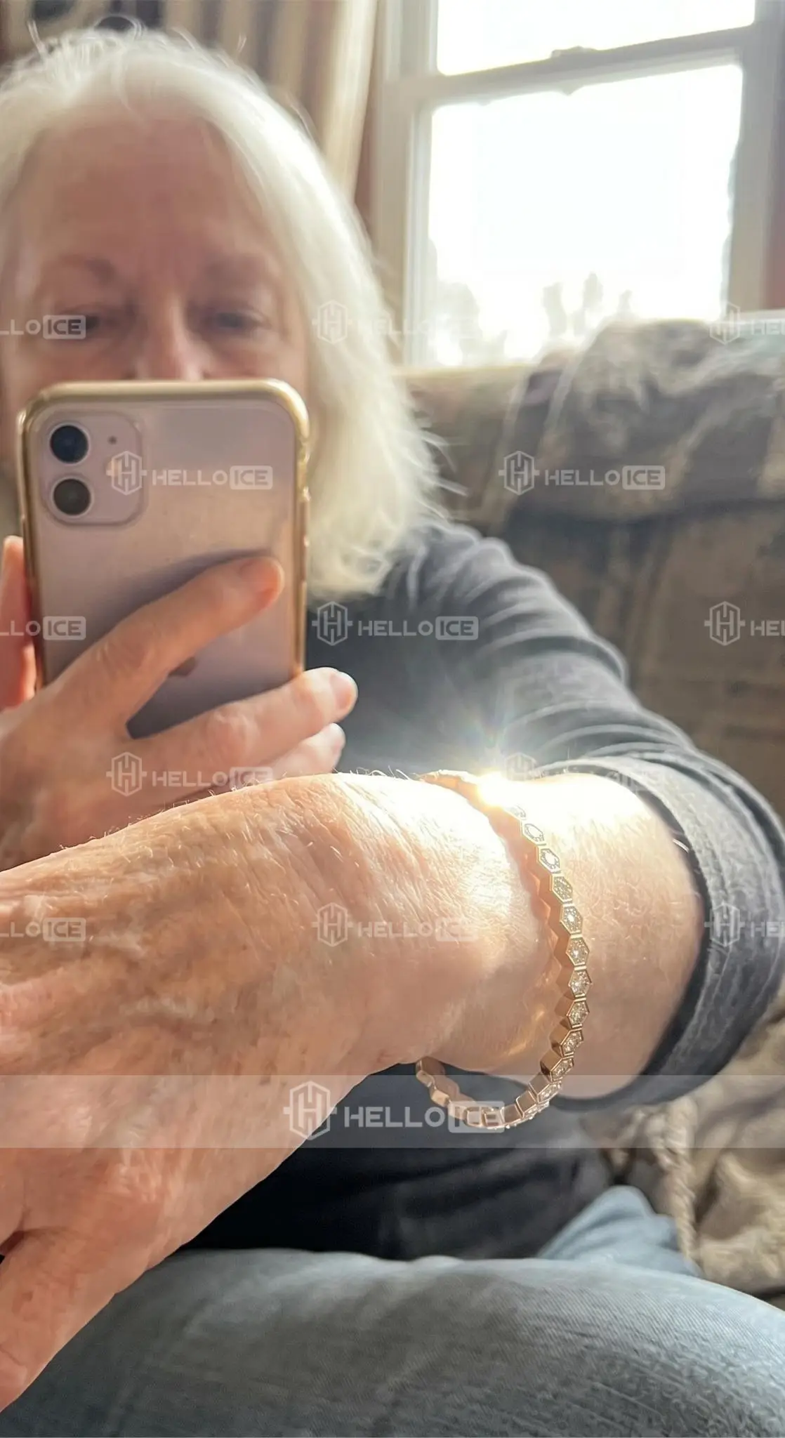 Helloice Review Image