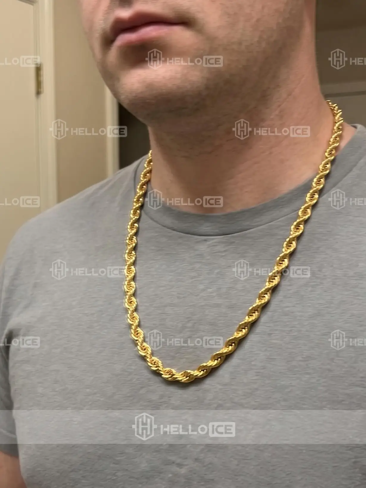 Helloice Review Image