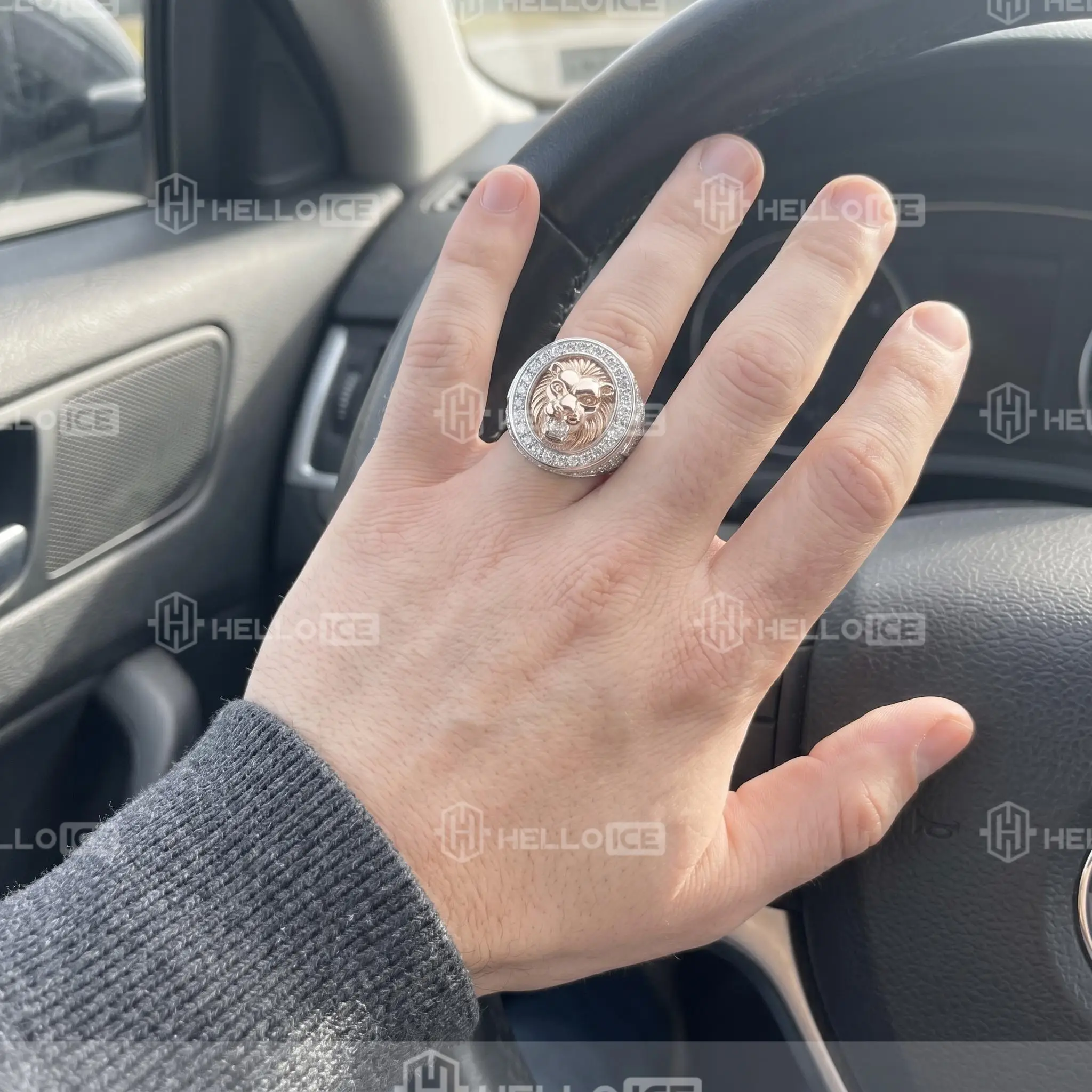 Helloice Review Image