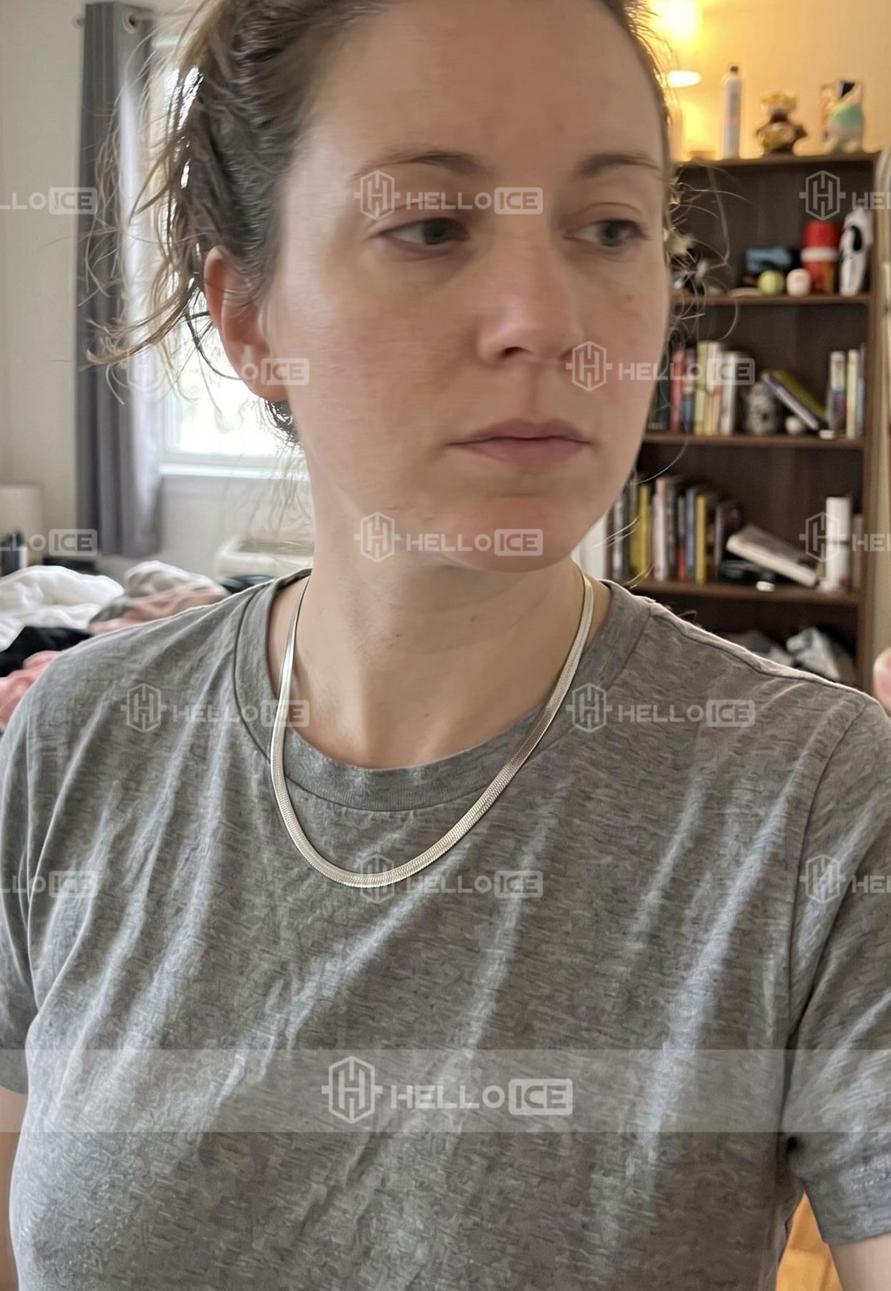 Helloice Review Image