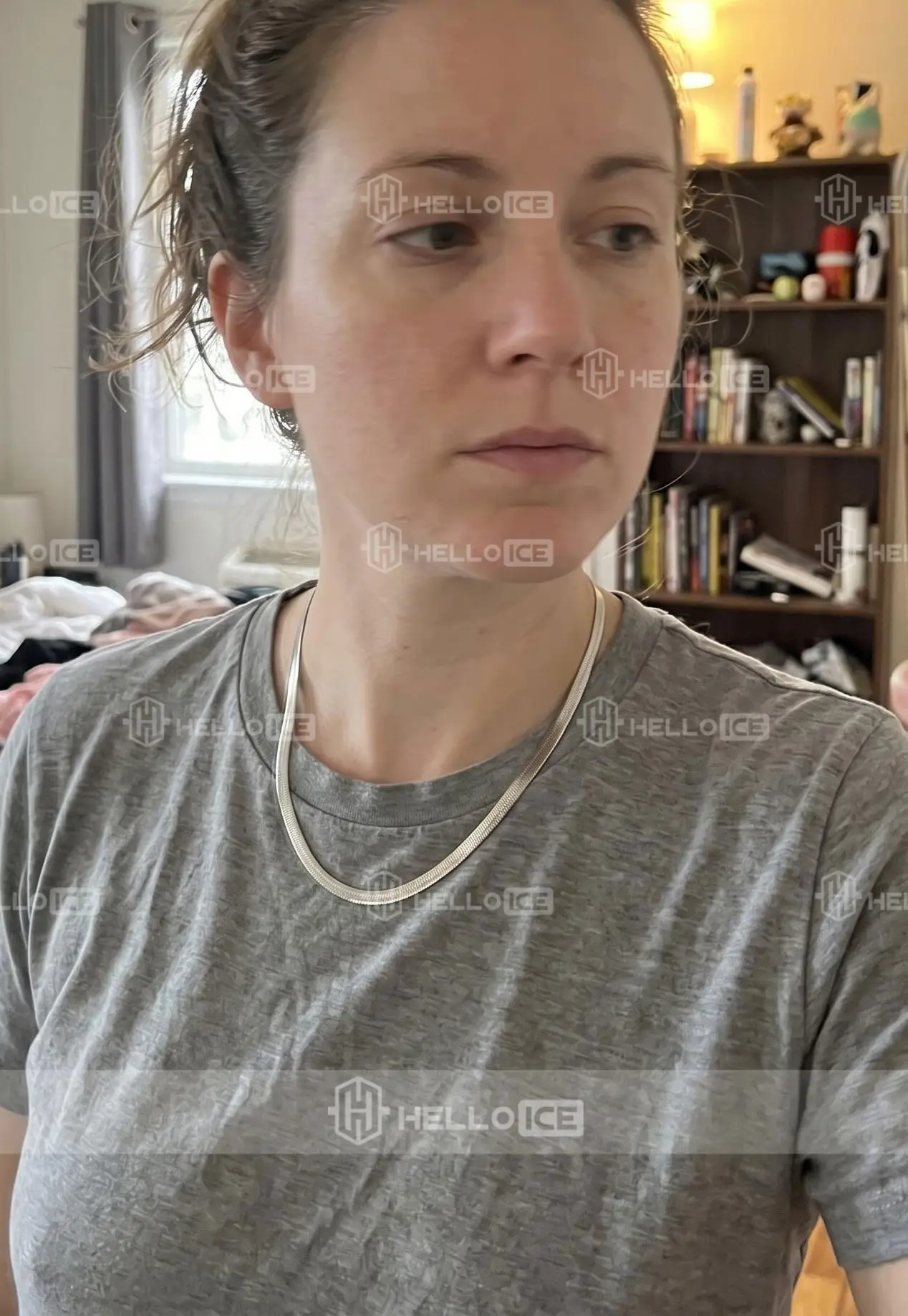 Helloice Review Image