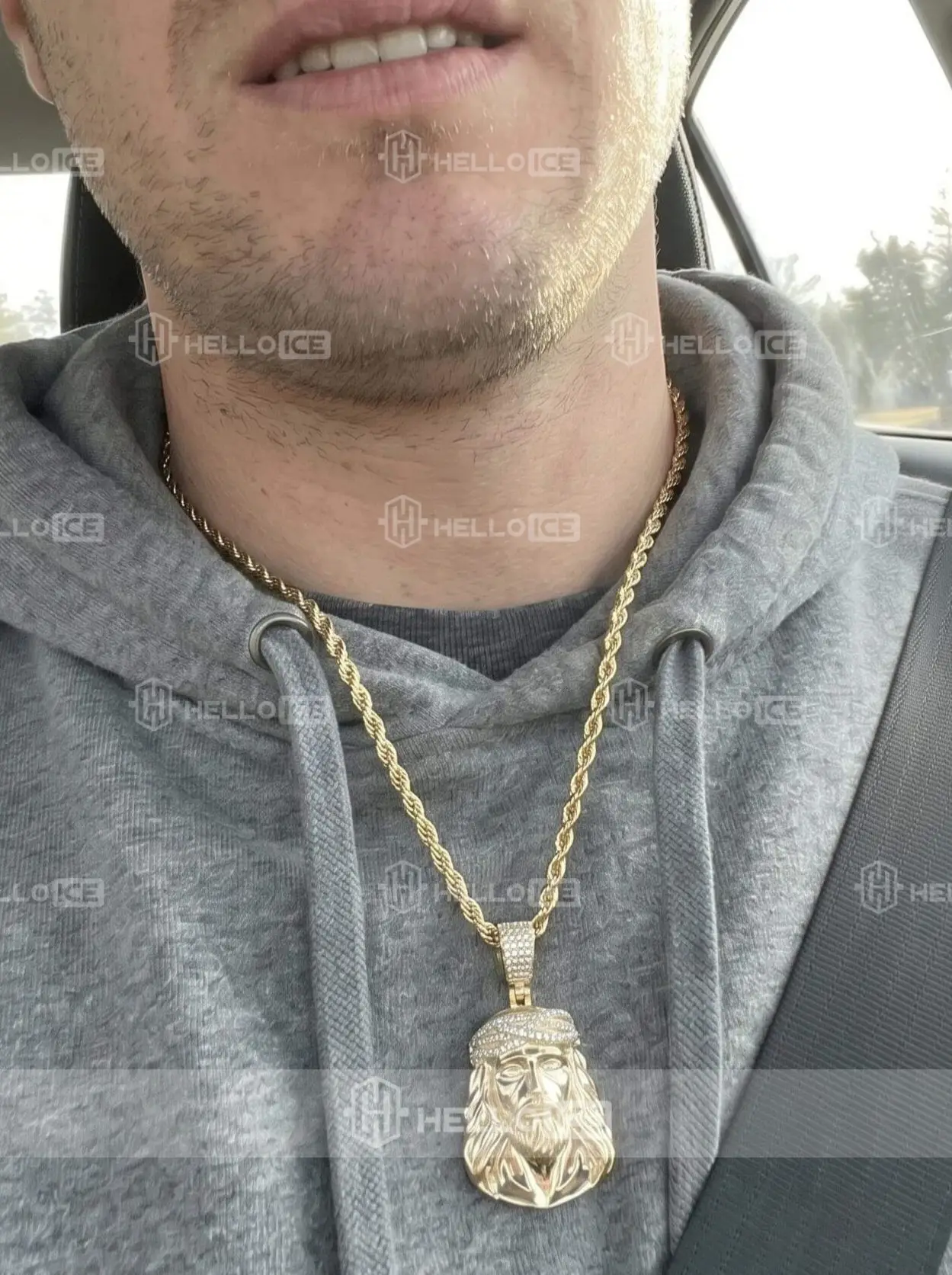 Helloice Review Image