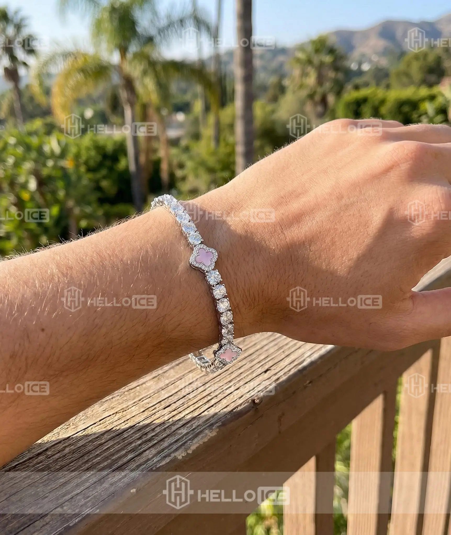 Helloice Review Image