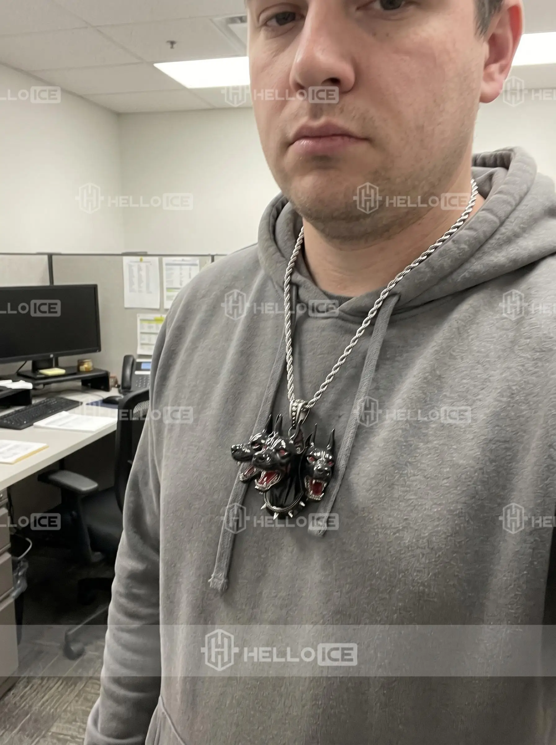 Helloice Review Image