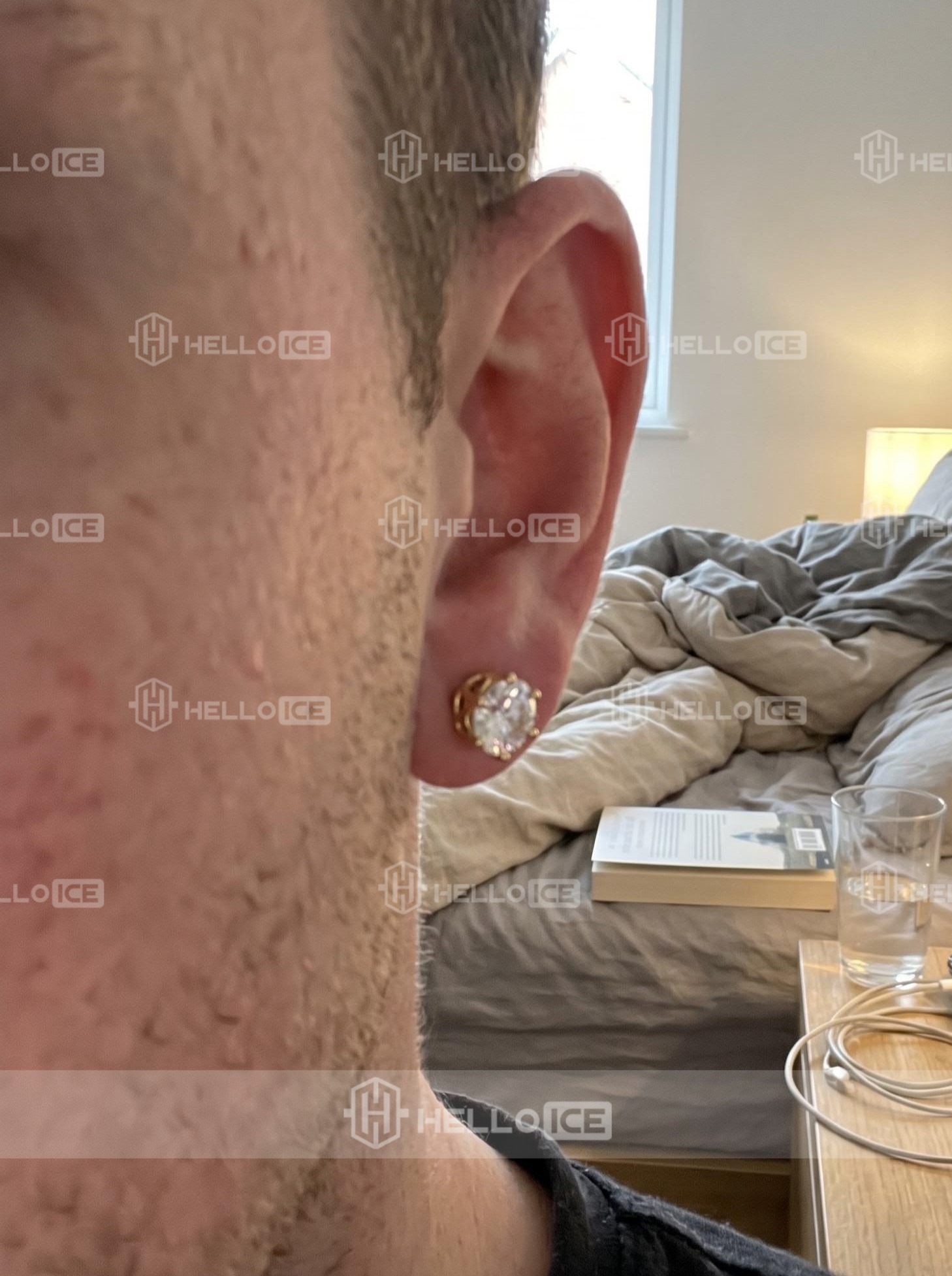 Helloice Review Image