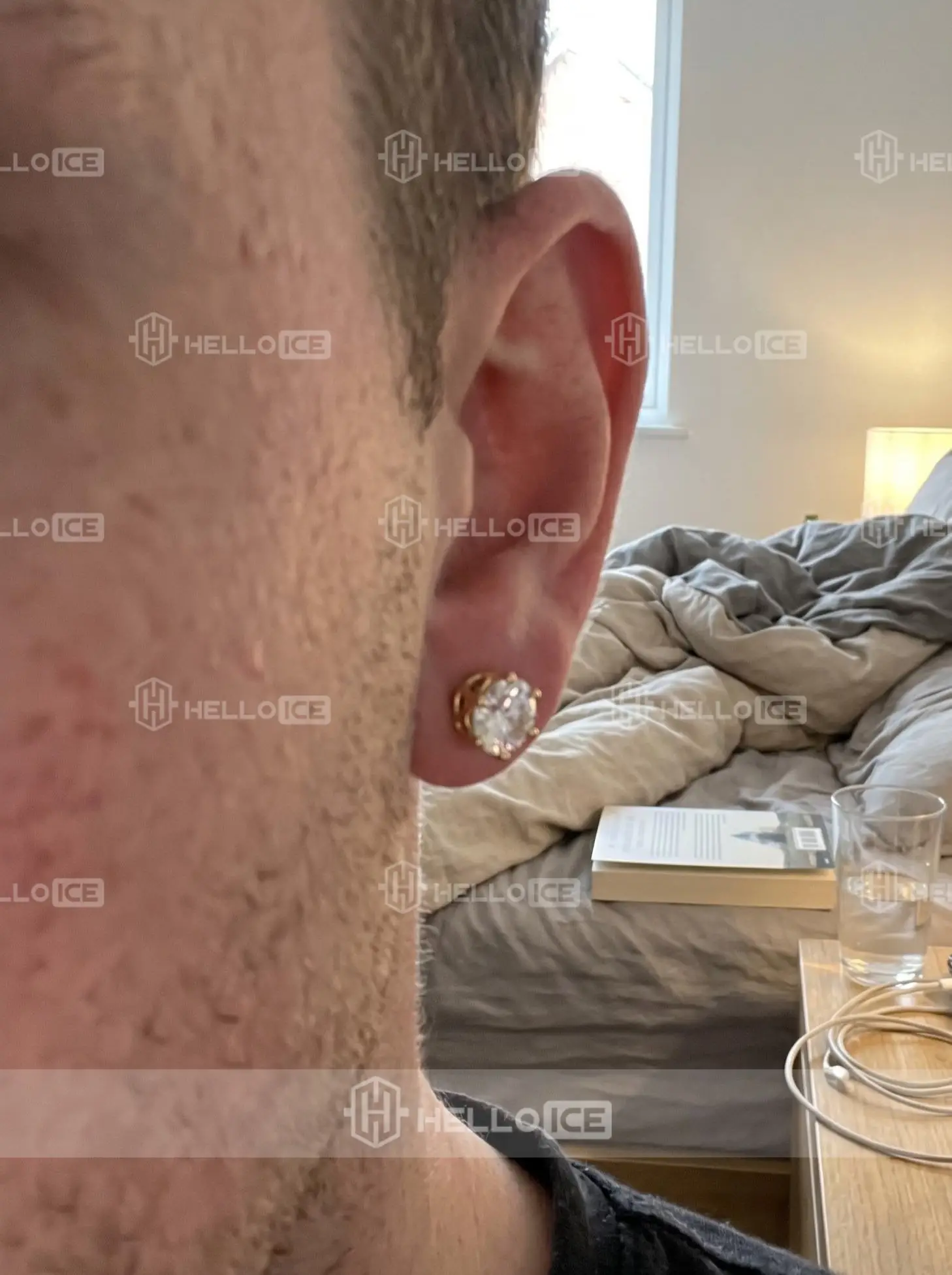 Helloice Review Image