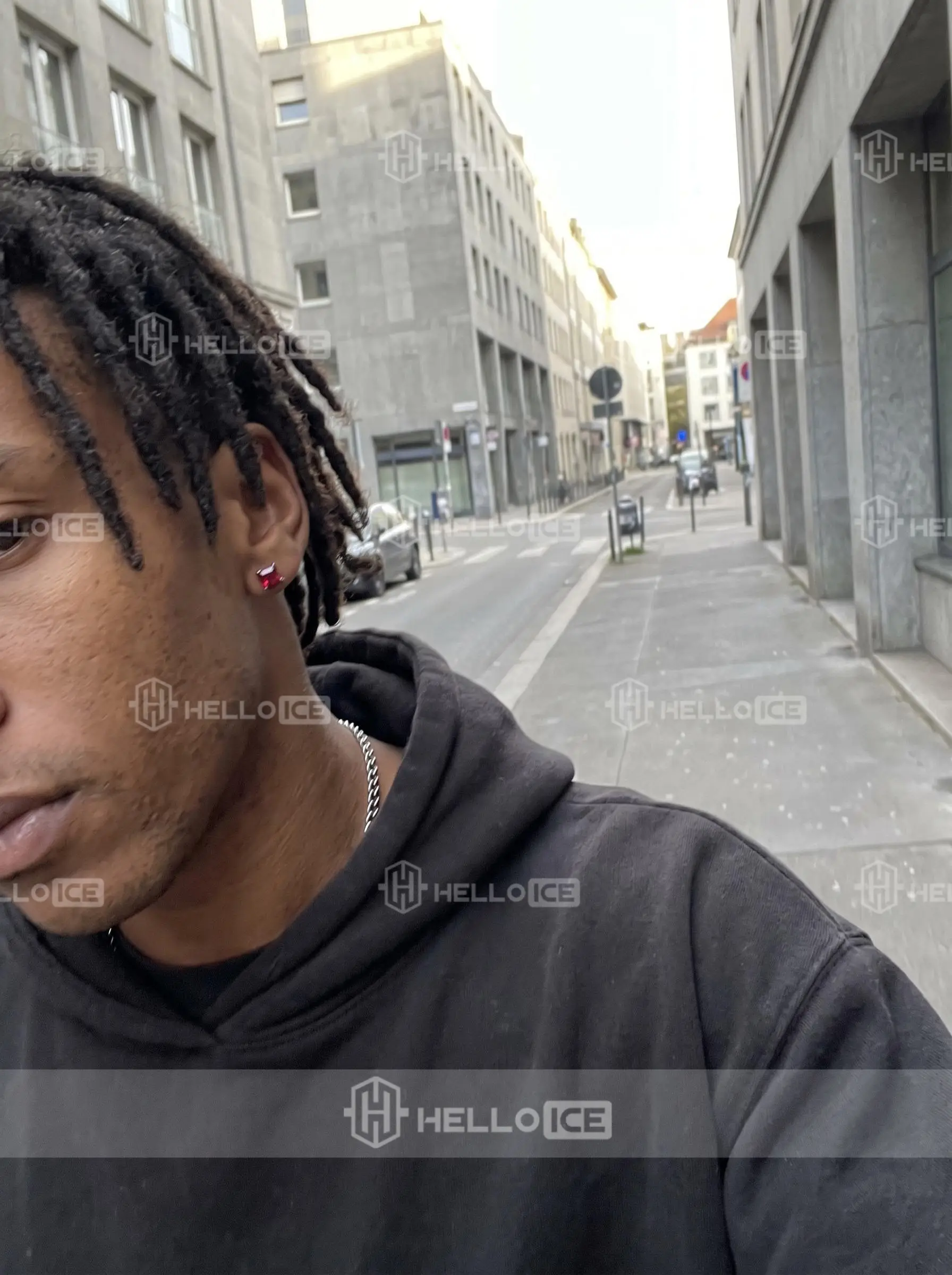 Helloice Review Image