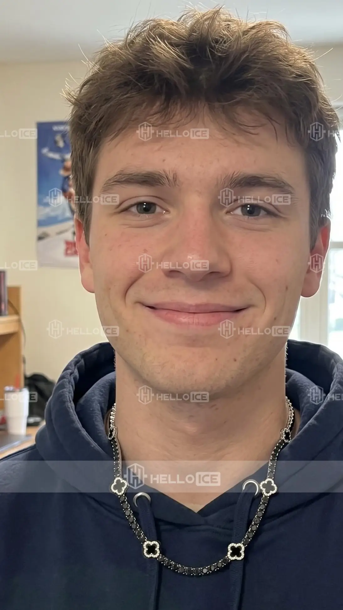 Helloice Review Image