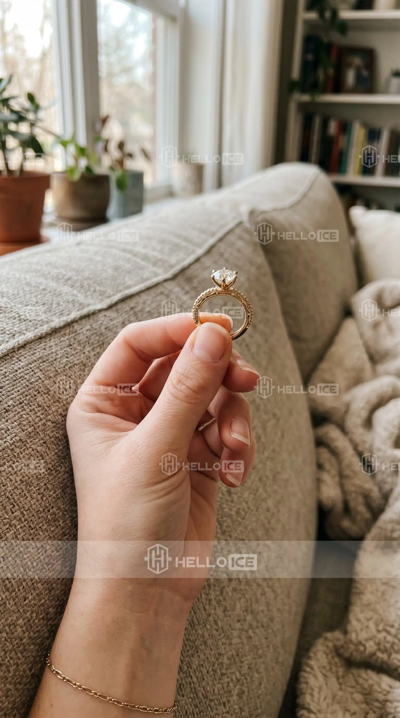 Helloice Review Image