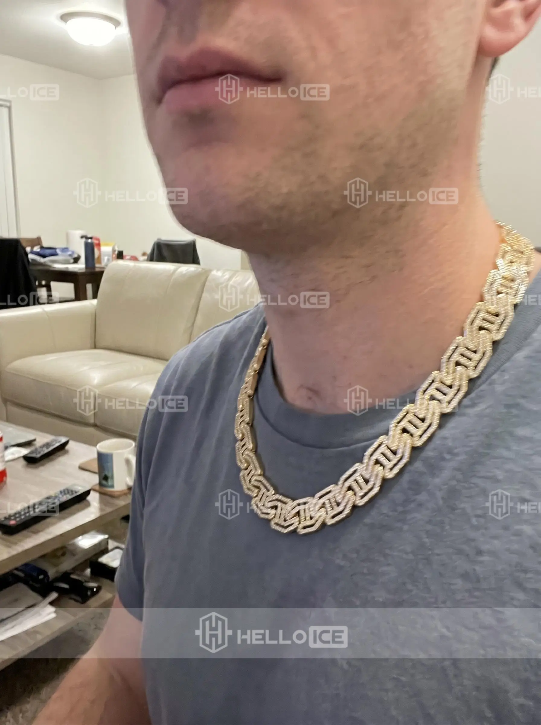 Helloice Review Image