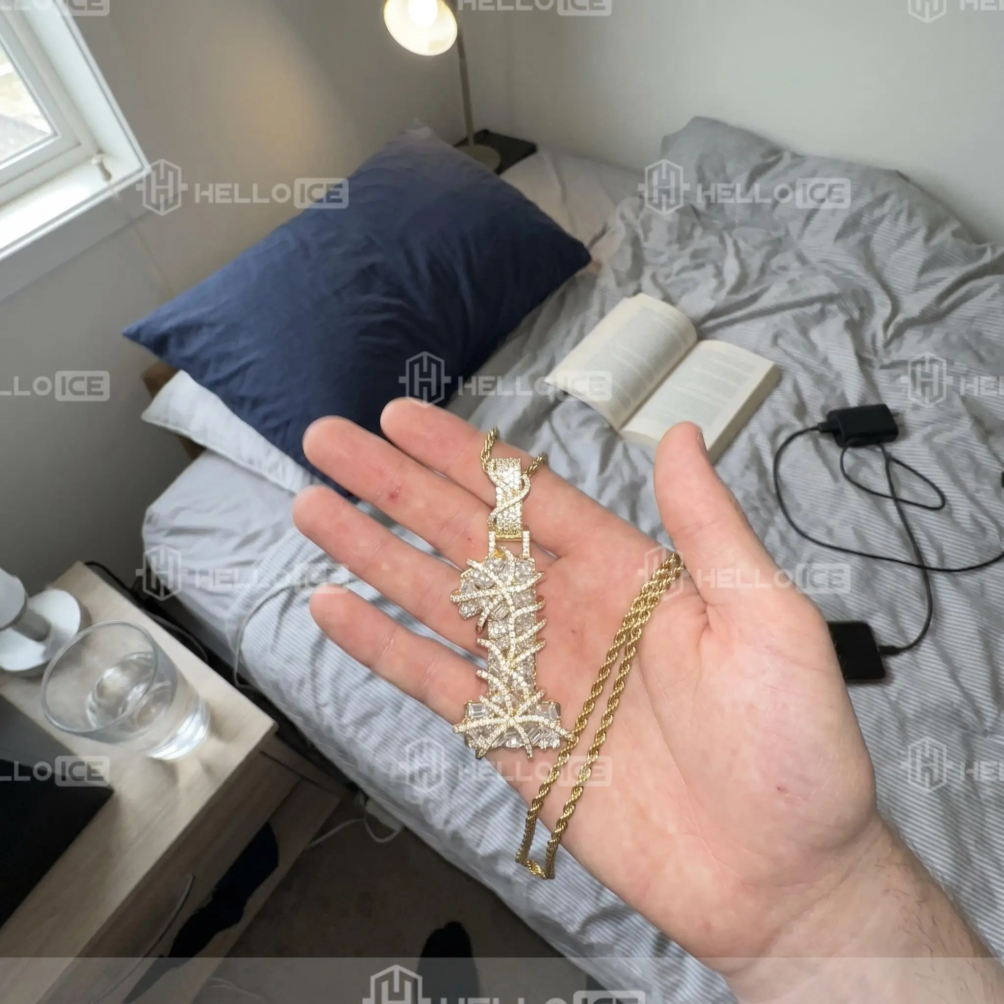 Helloice Review Image