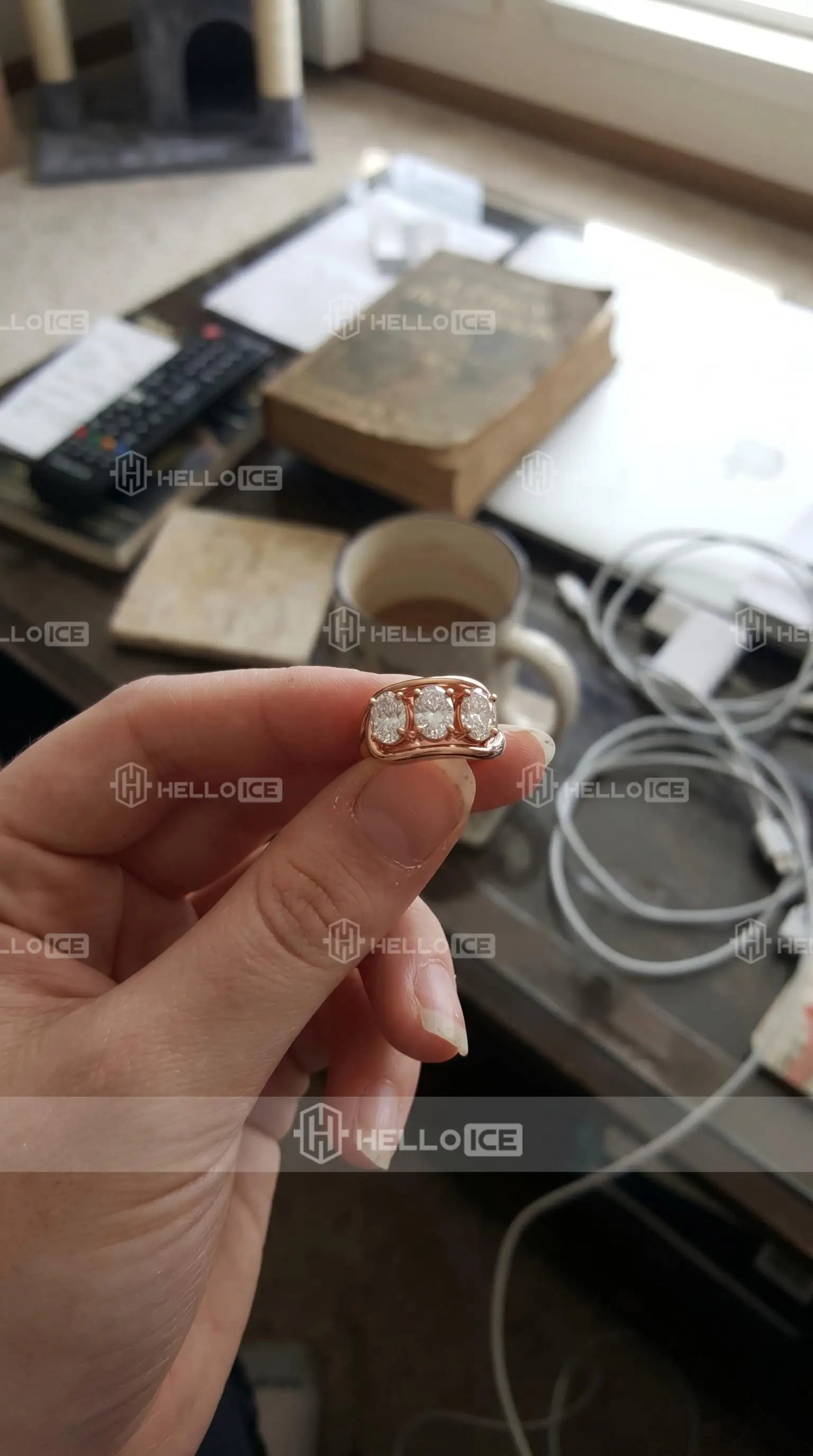 Helloice Review Image