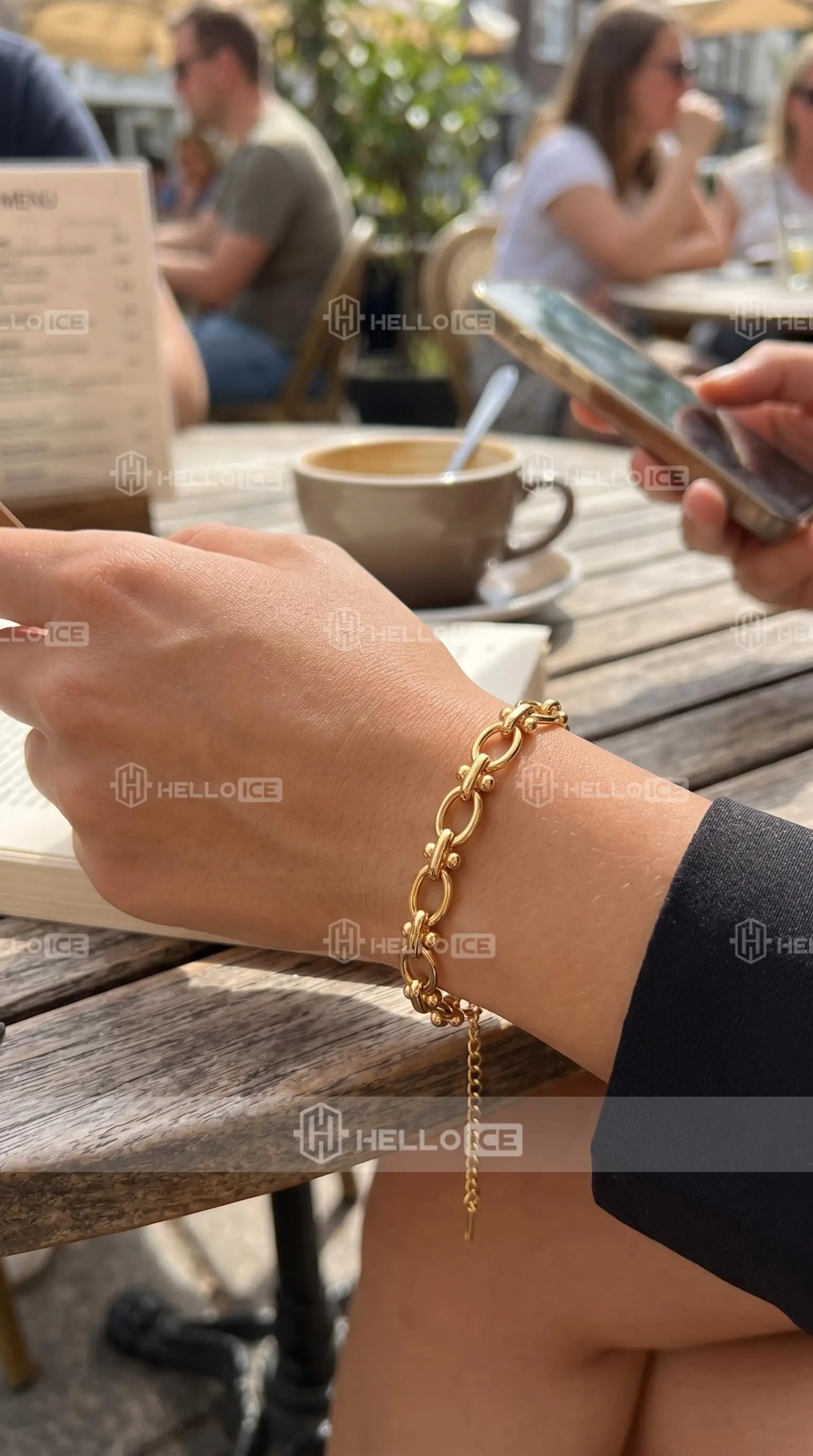 Helloice Review Image