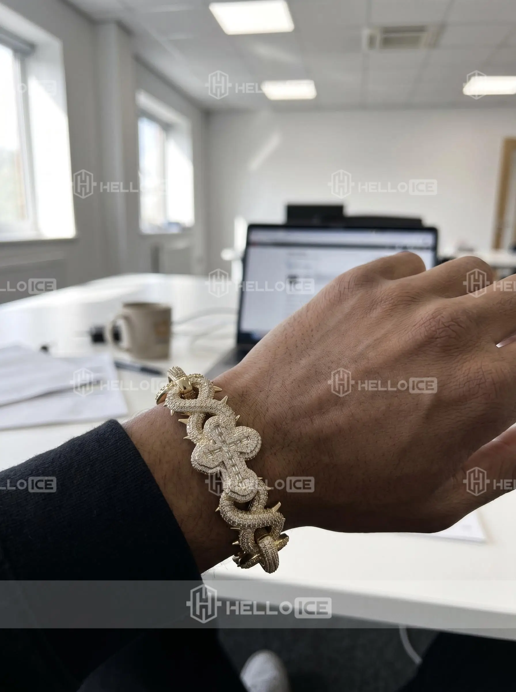 Helloice Review Image