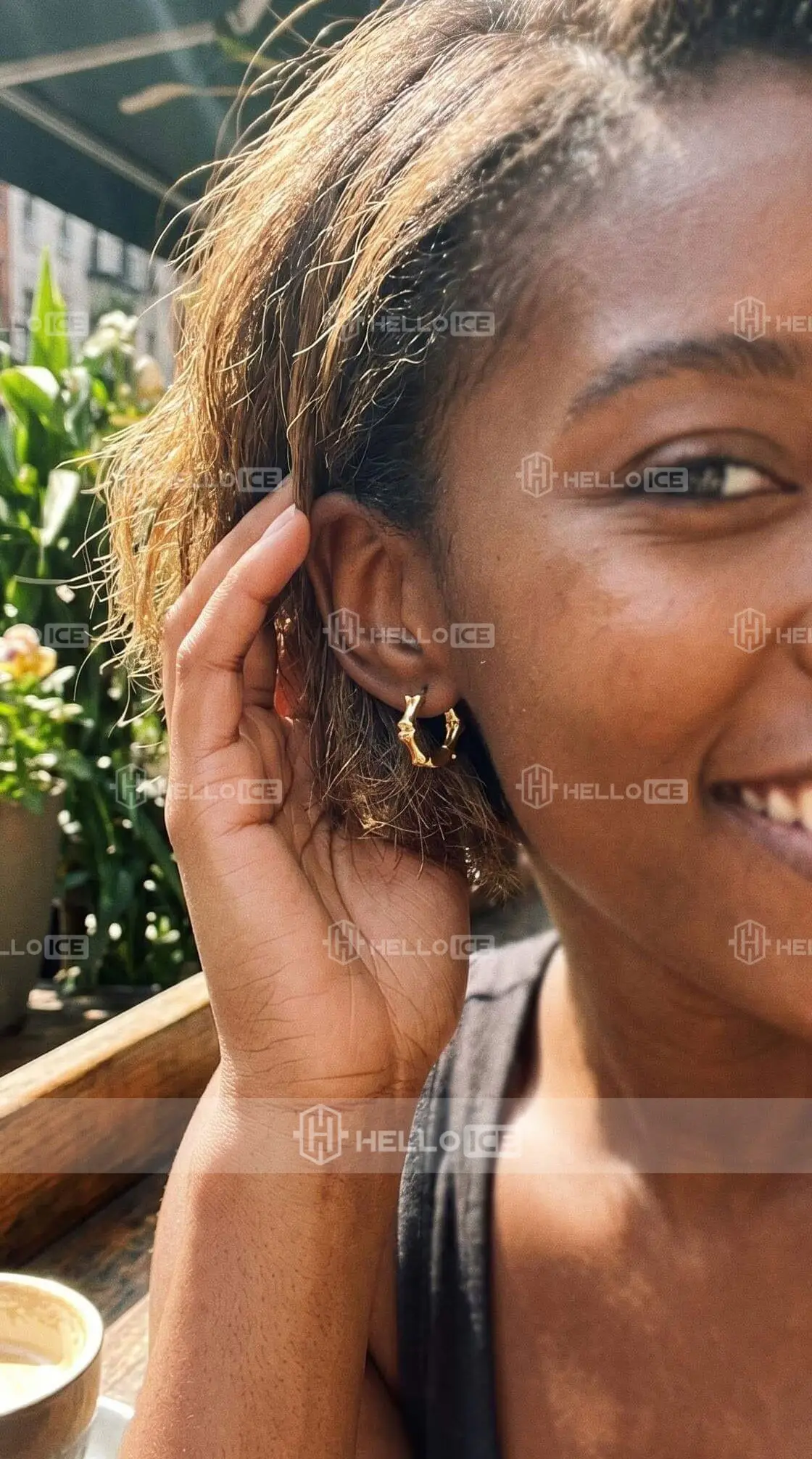 Helloice Review Image