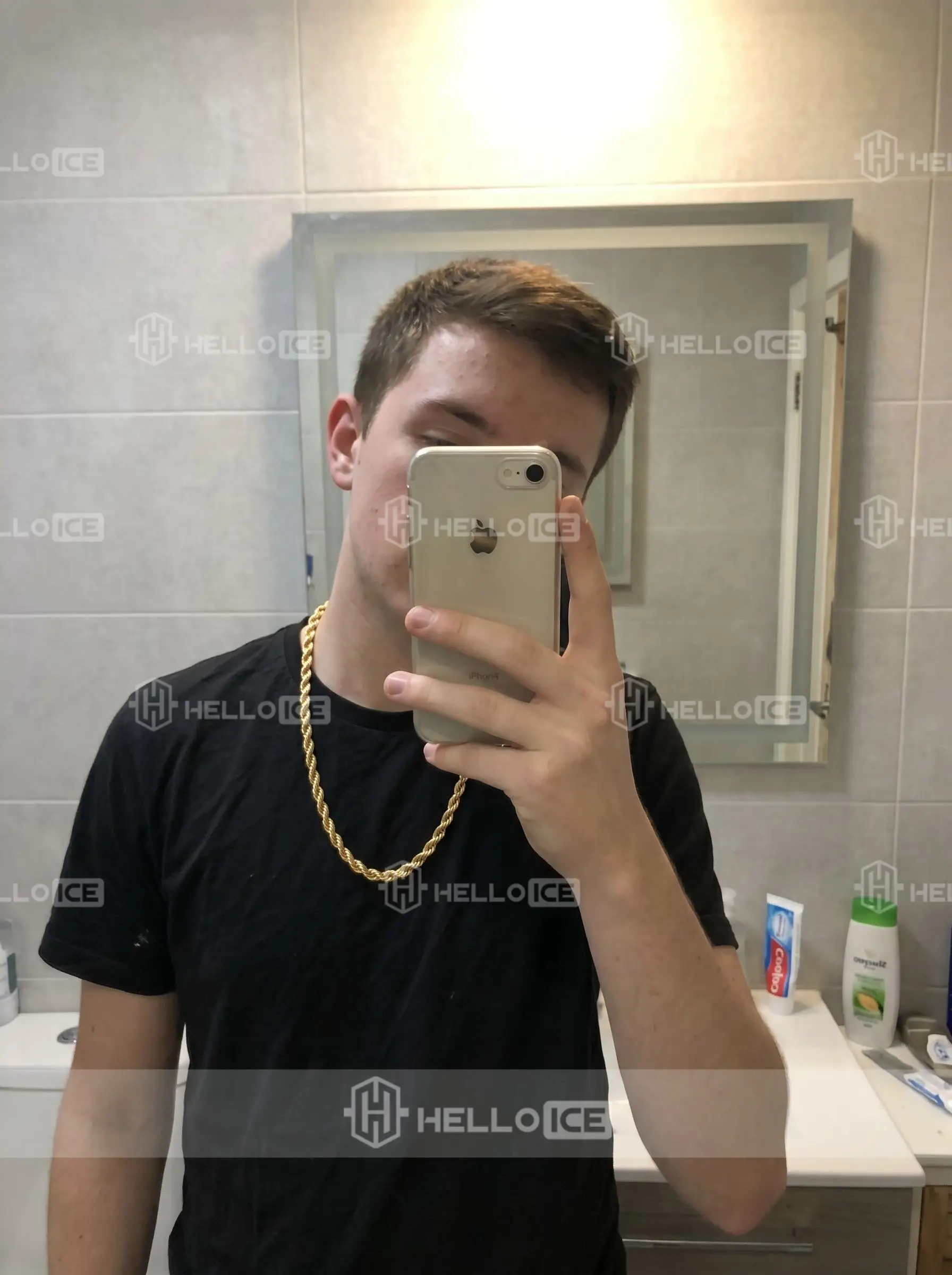 Helloice Review Image