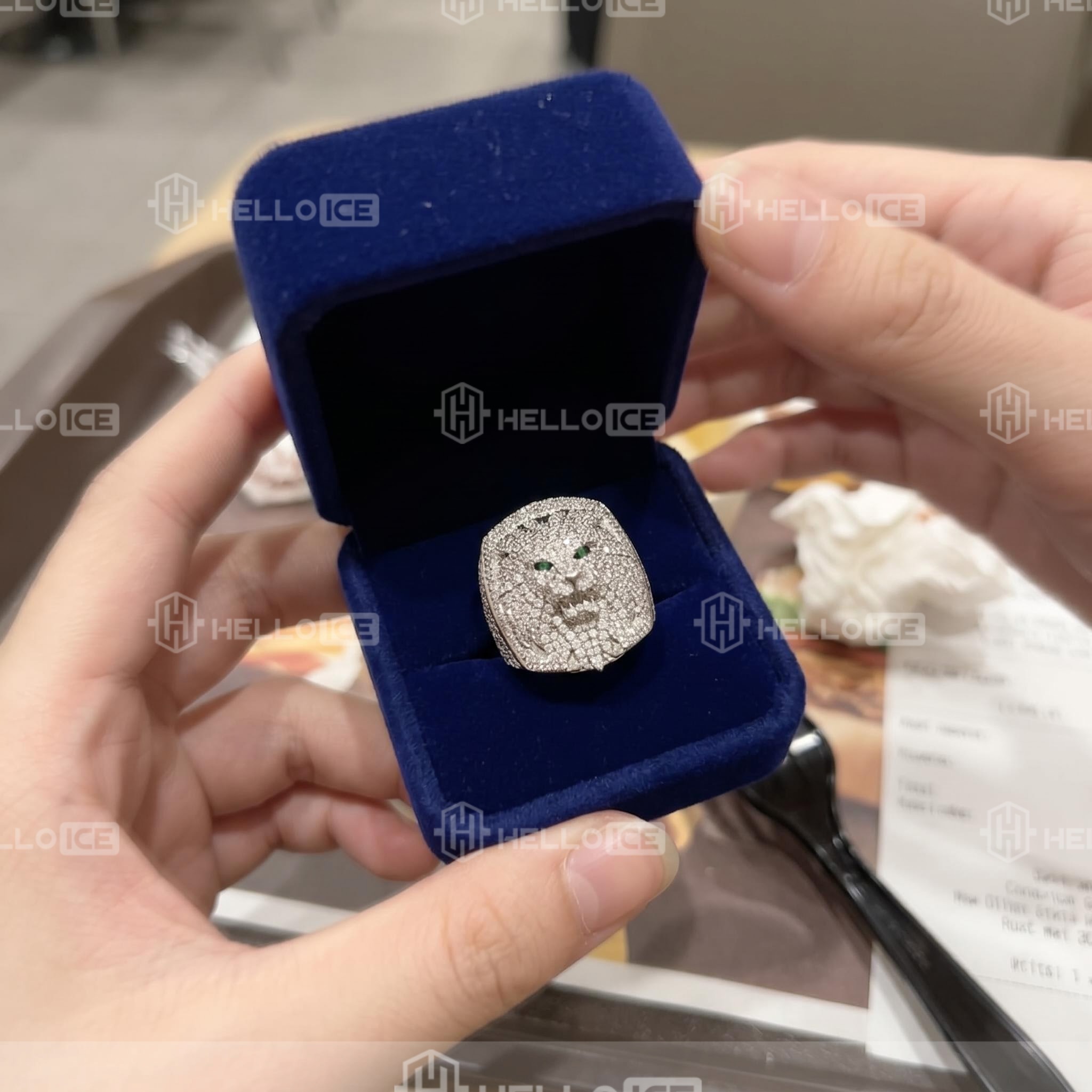 Helloice Review Image