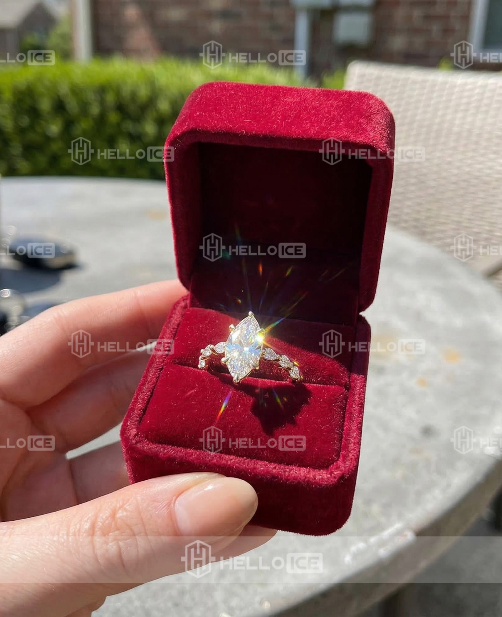 Helloice Review Image