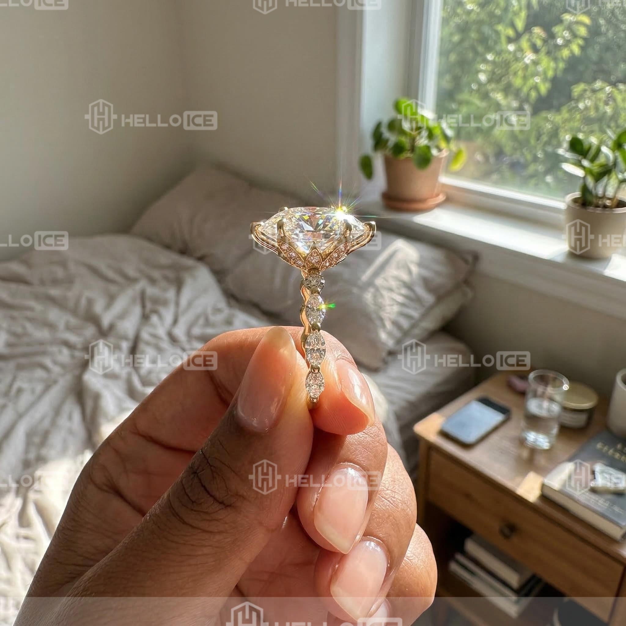 Helloice Review Image