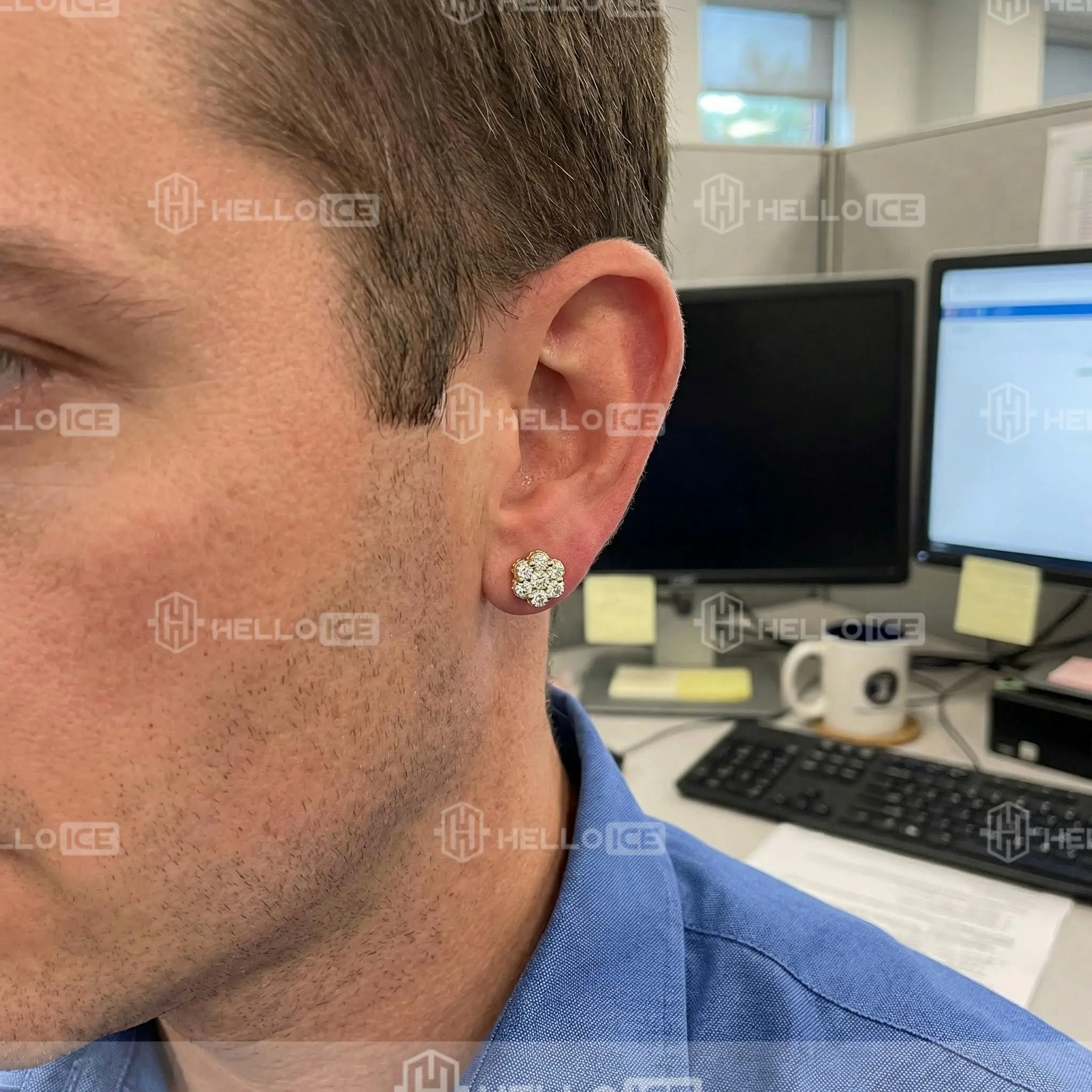 Helloice Review Image