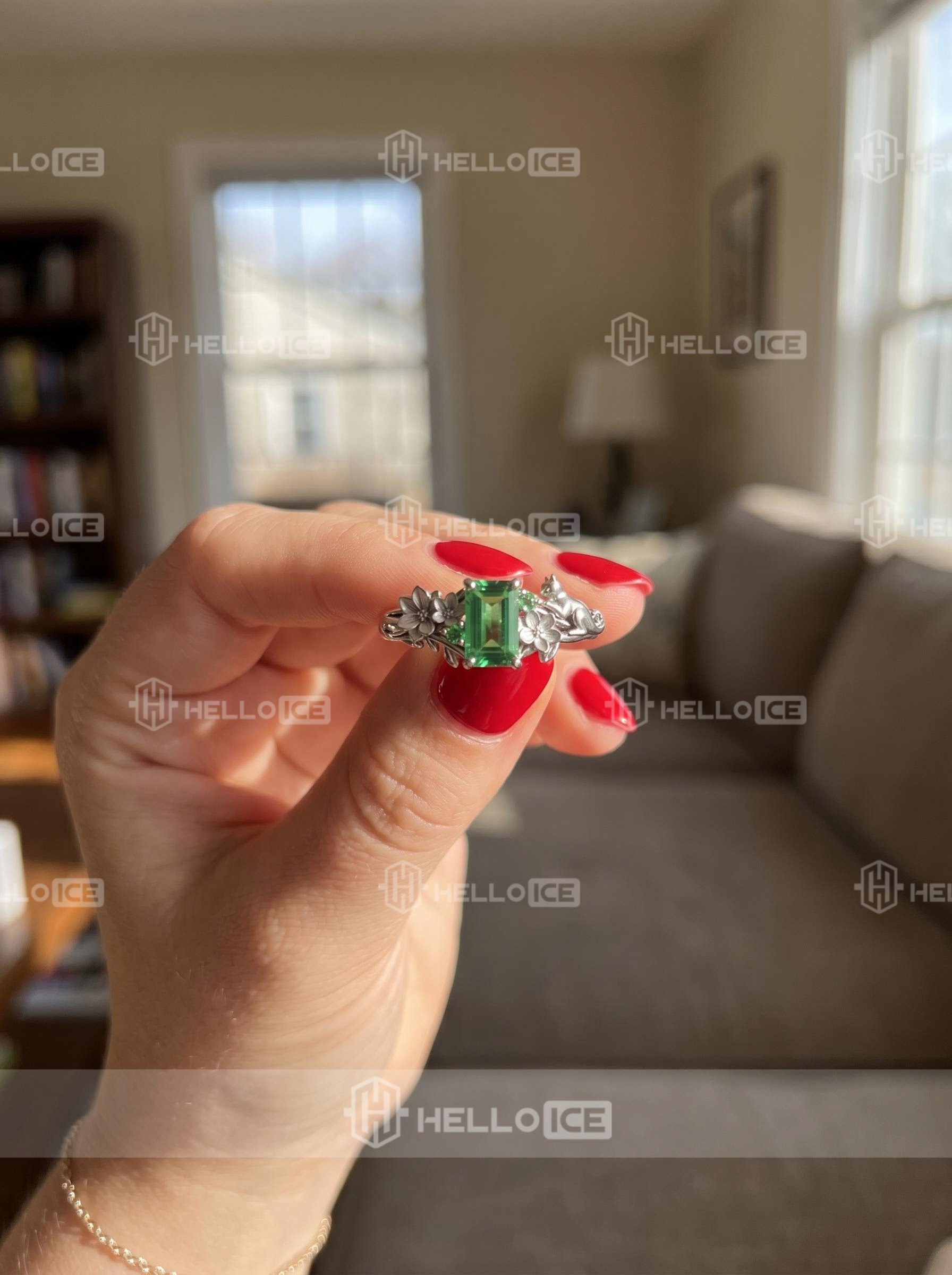 Helloice Review Image