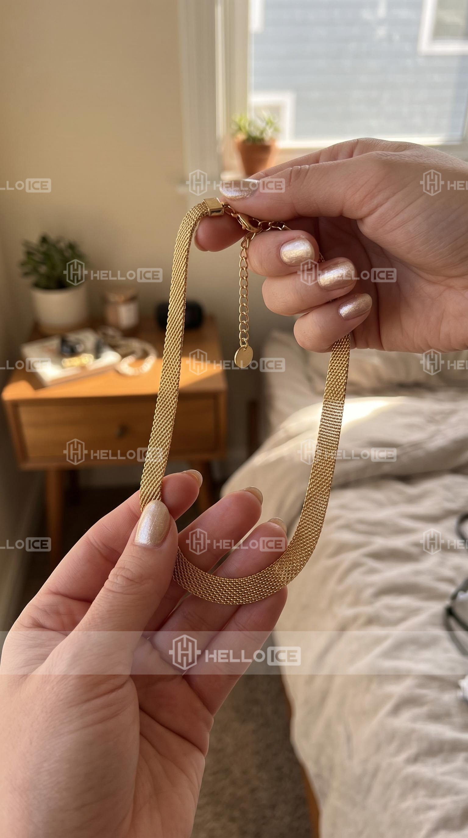 Helloice Review Image