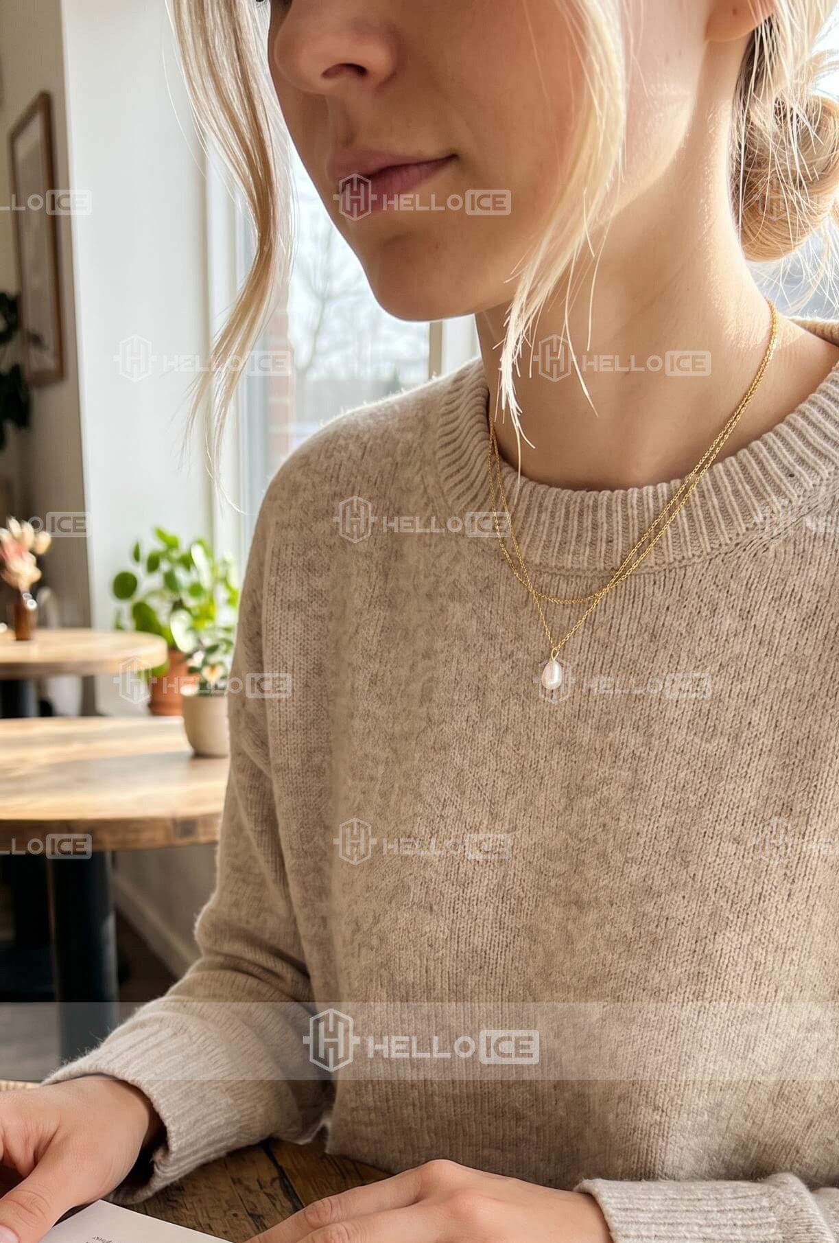 Helloice Review Image