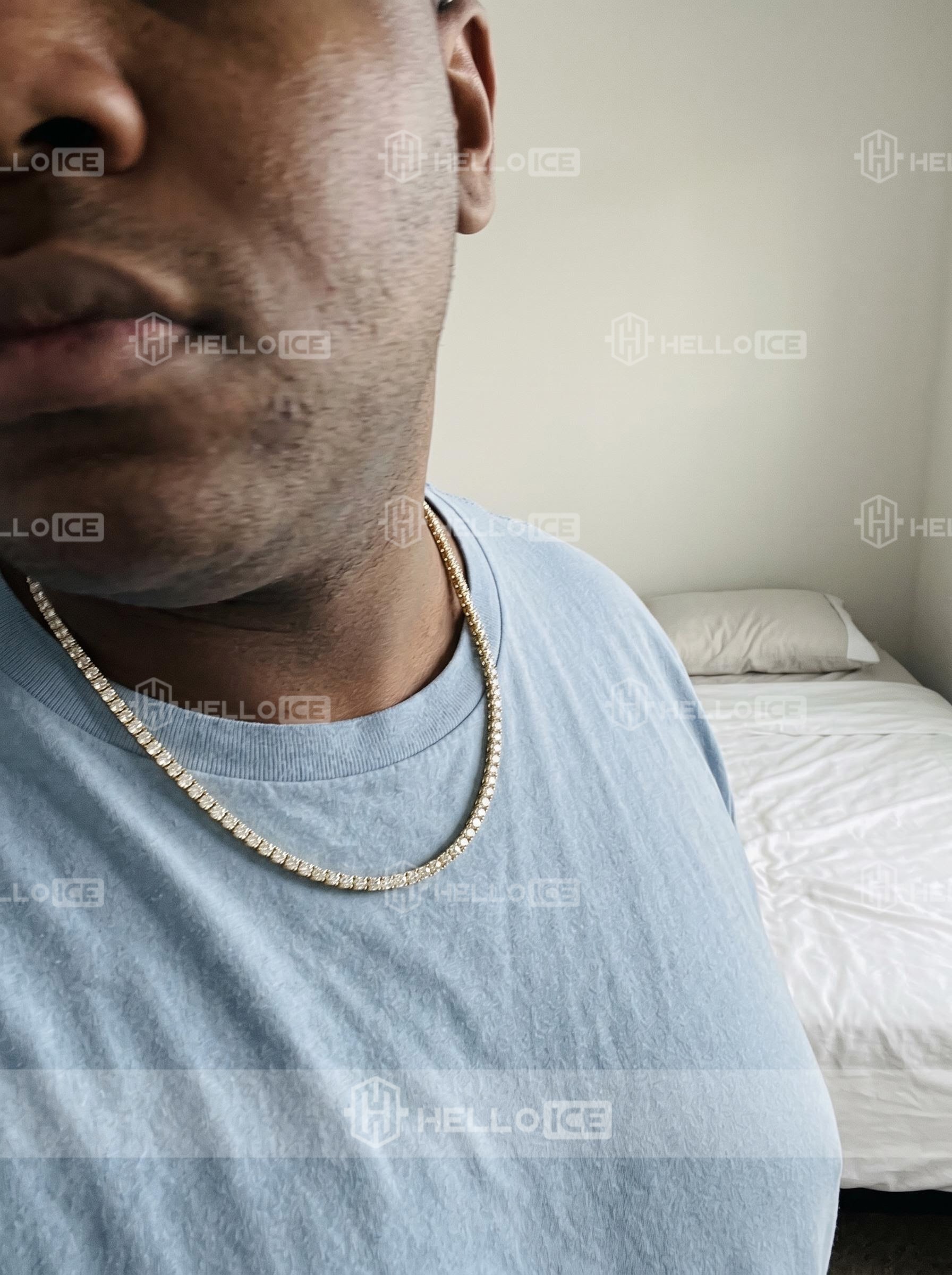Helloice Review Image