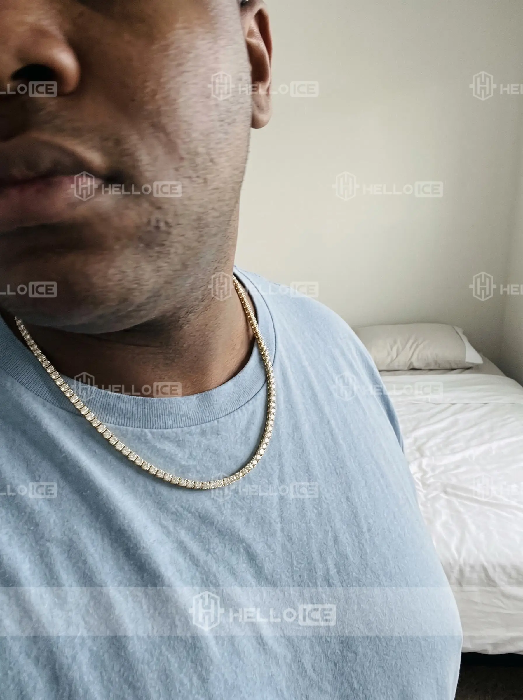 Helloice Review Image