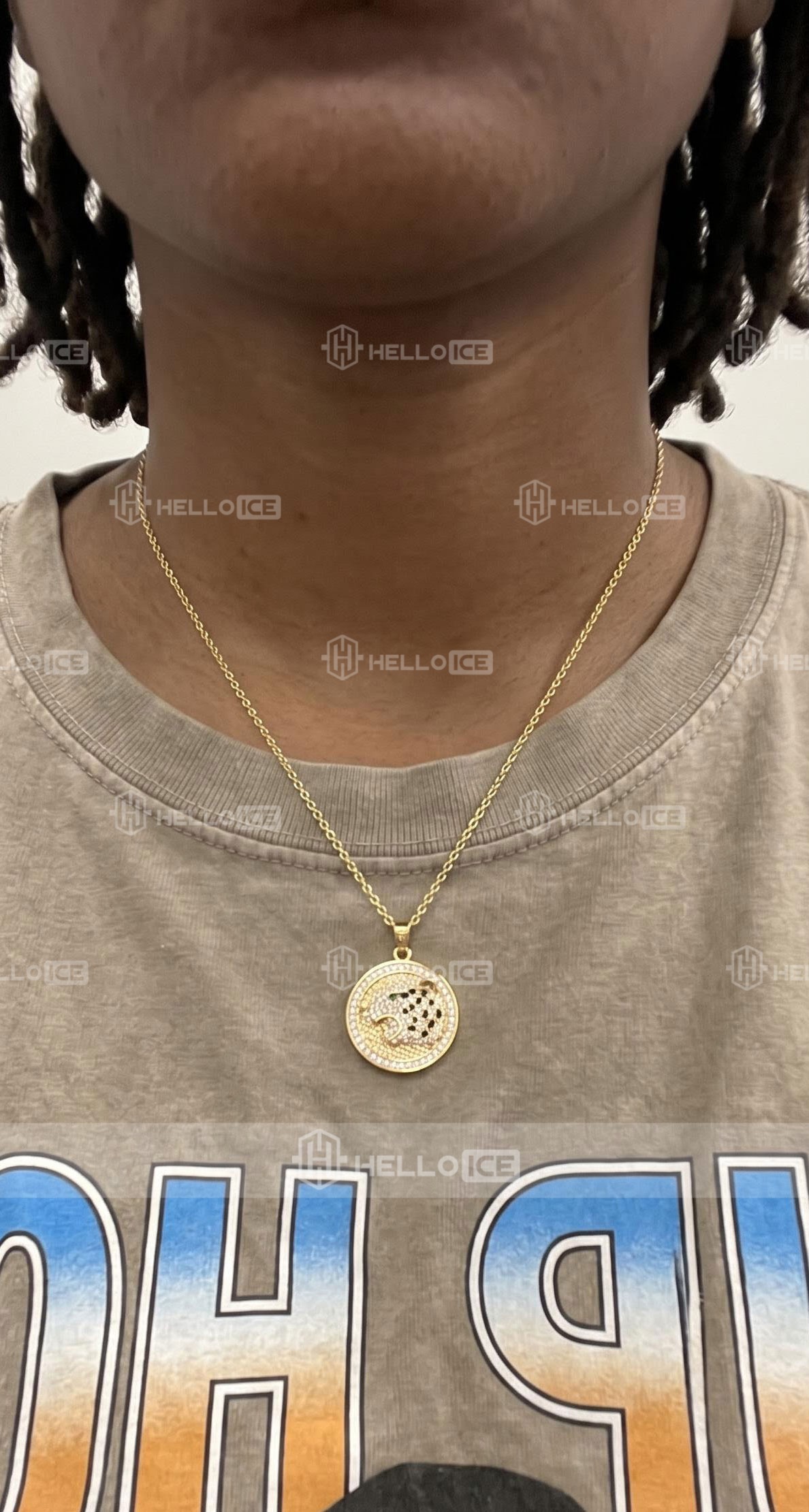 Helloice Review Image