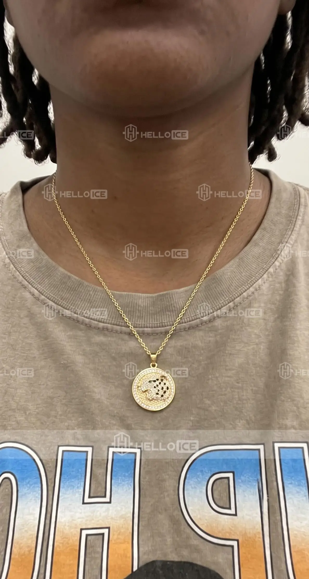 Helloice Review Image