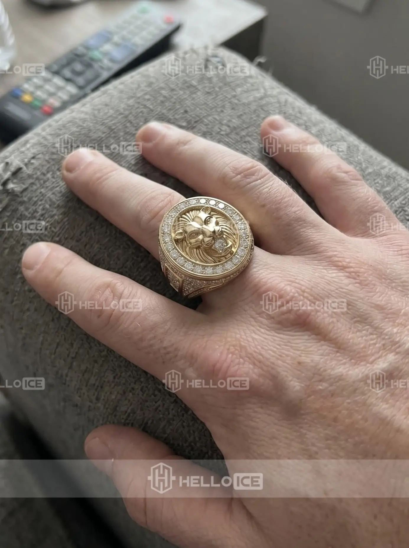 Helloice Review Image