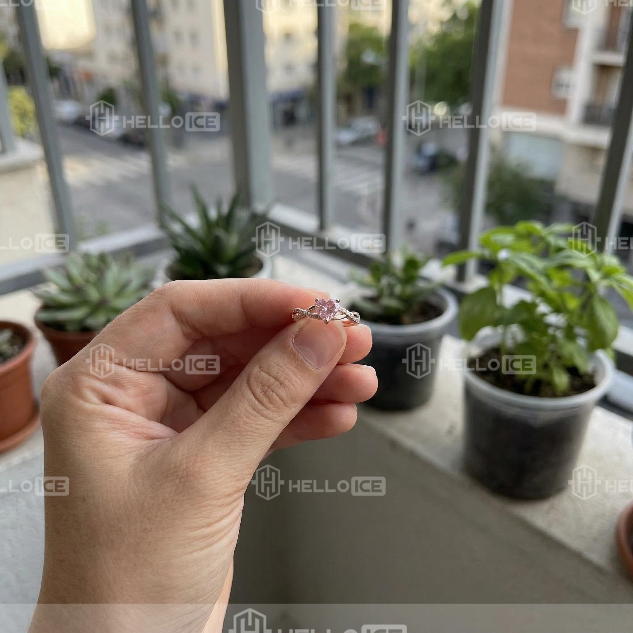 Helloice Review Image