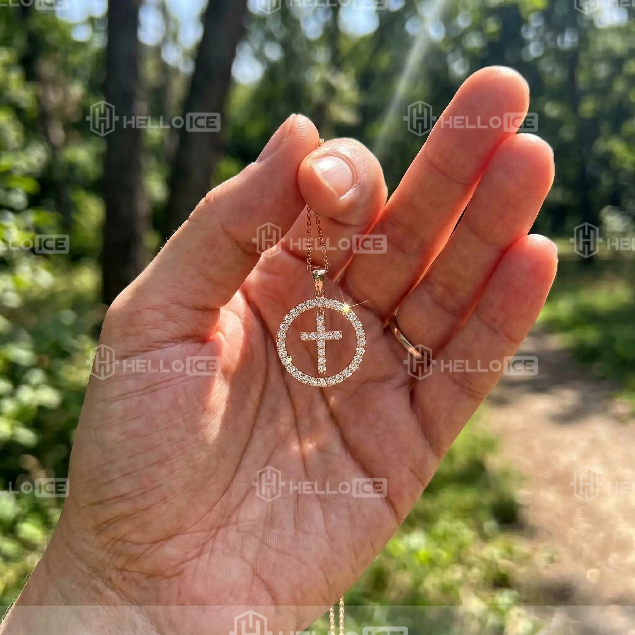 Helloice Review Image