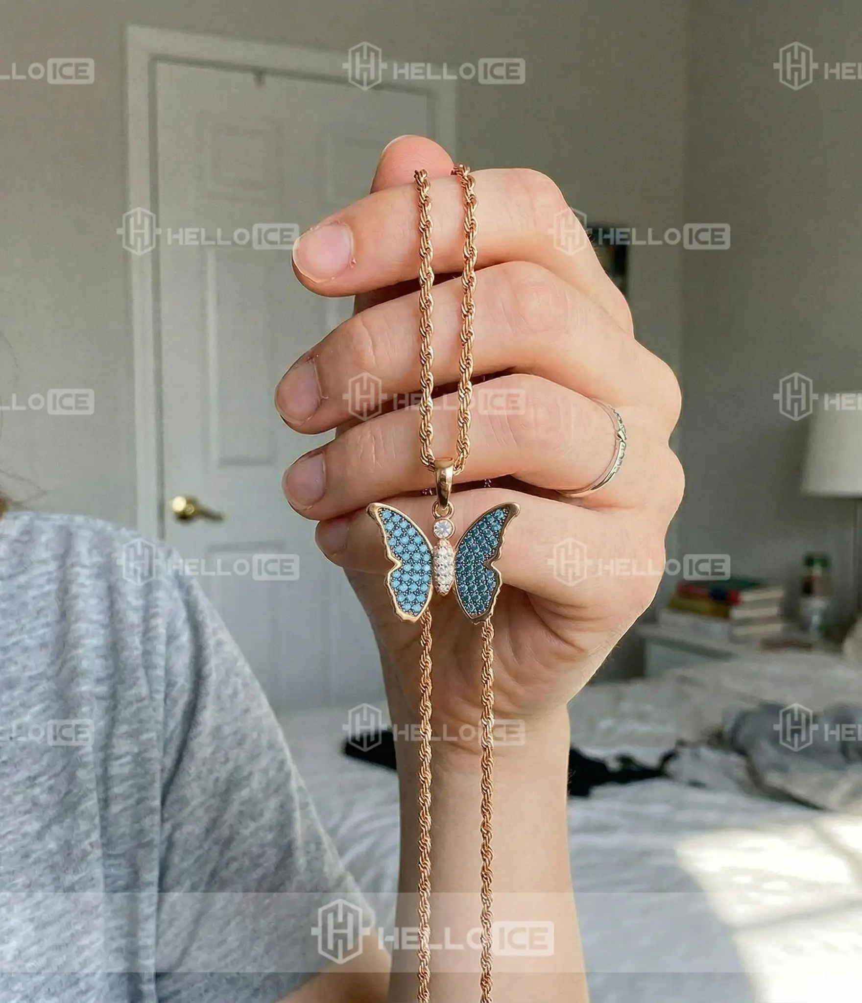 Helloice Review Image