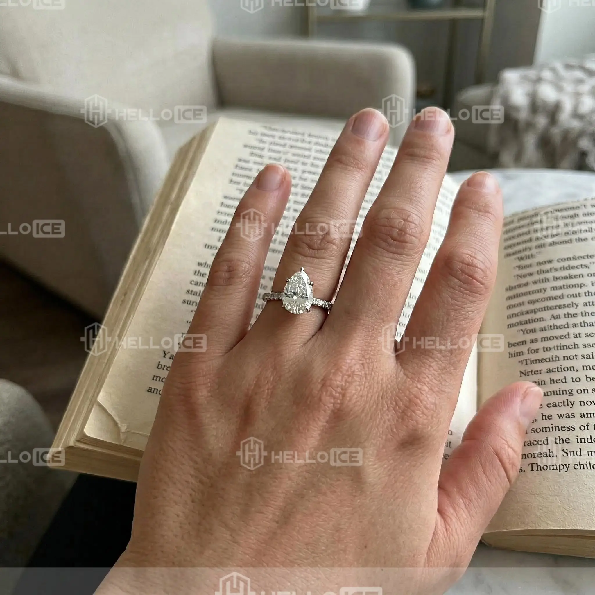 Helloice Review Image