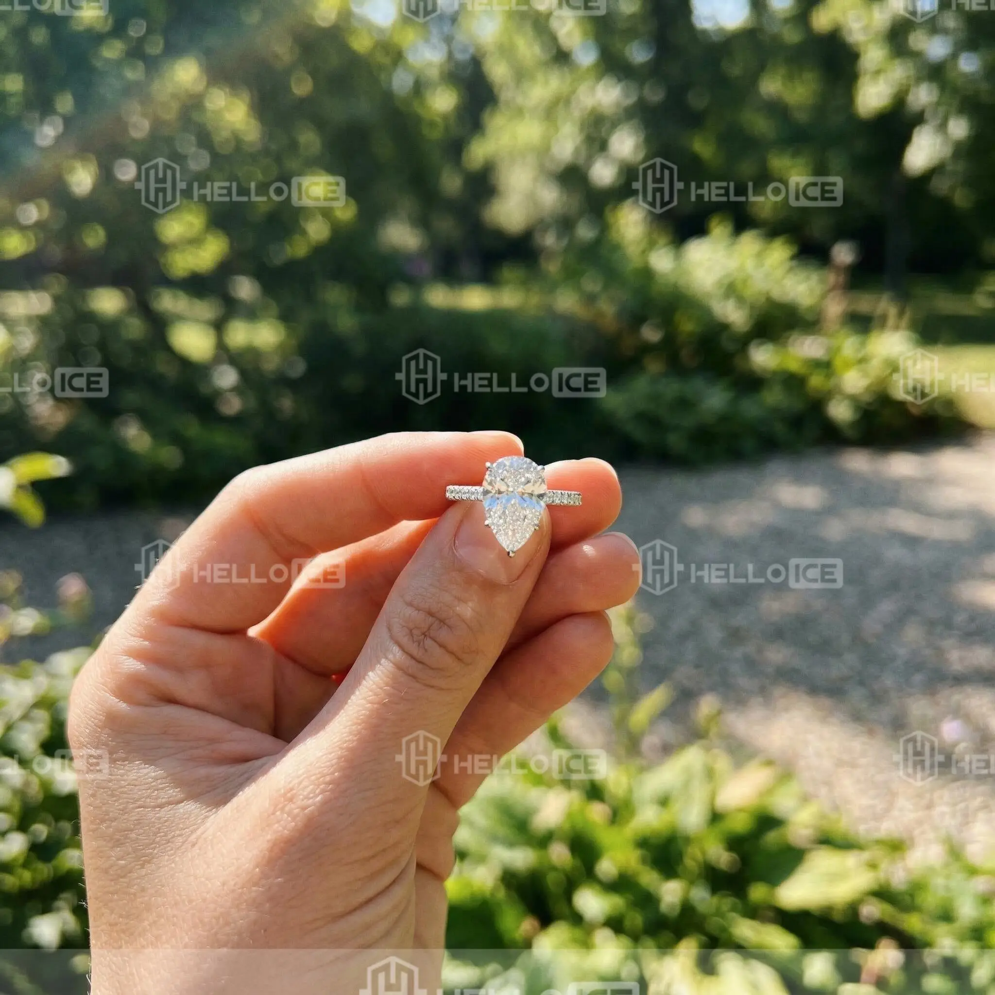 Helloice Review Image