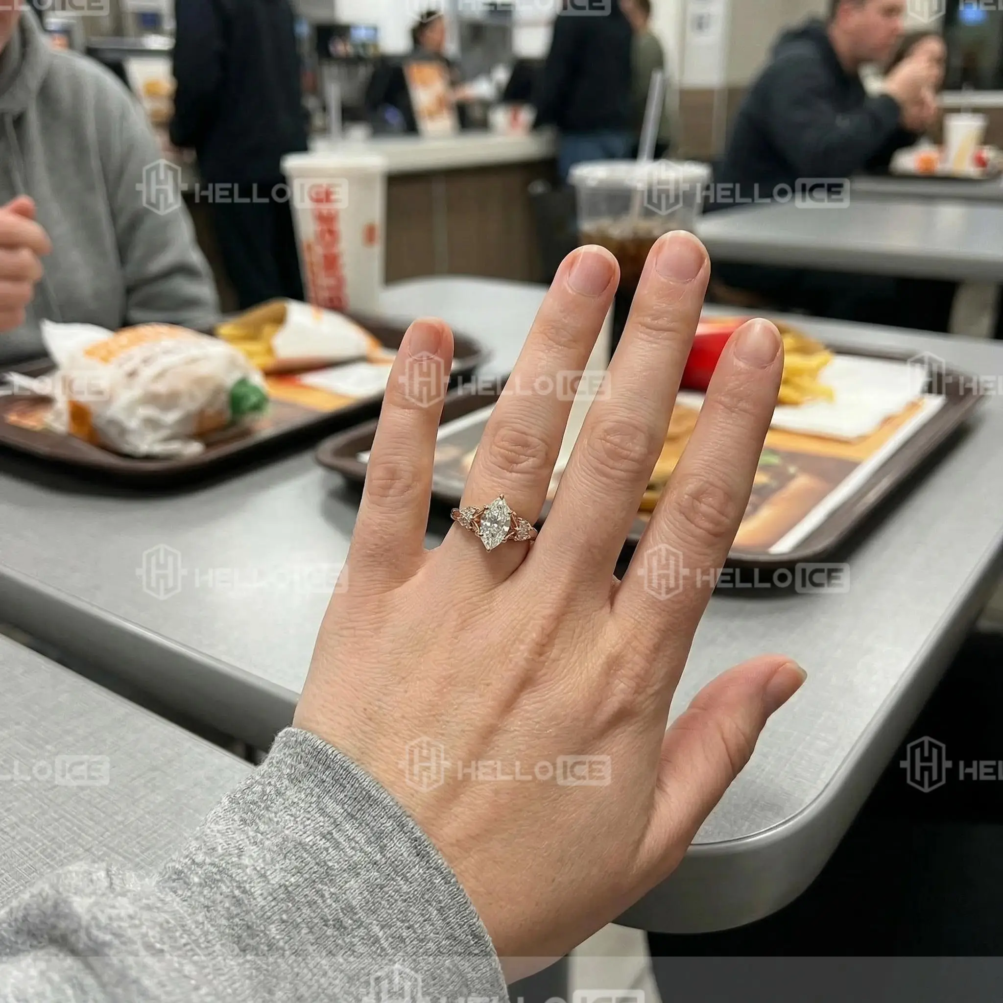 Helloice Review Image