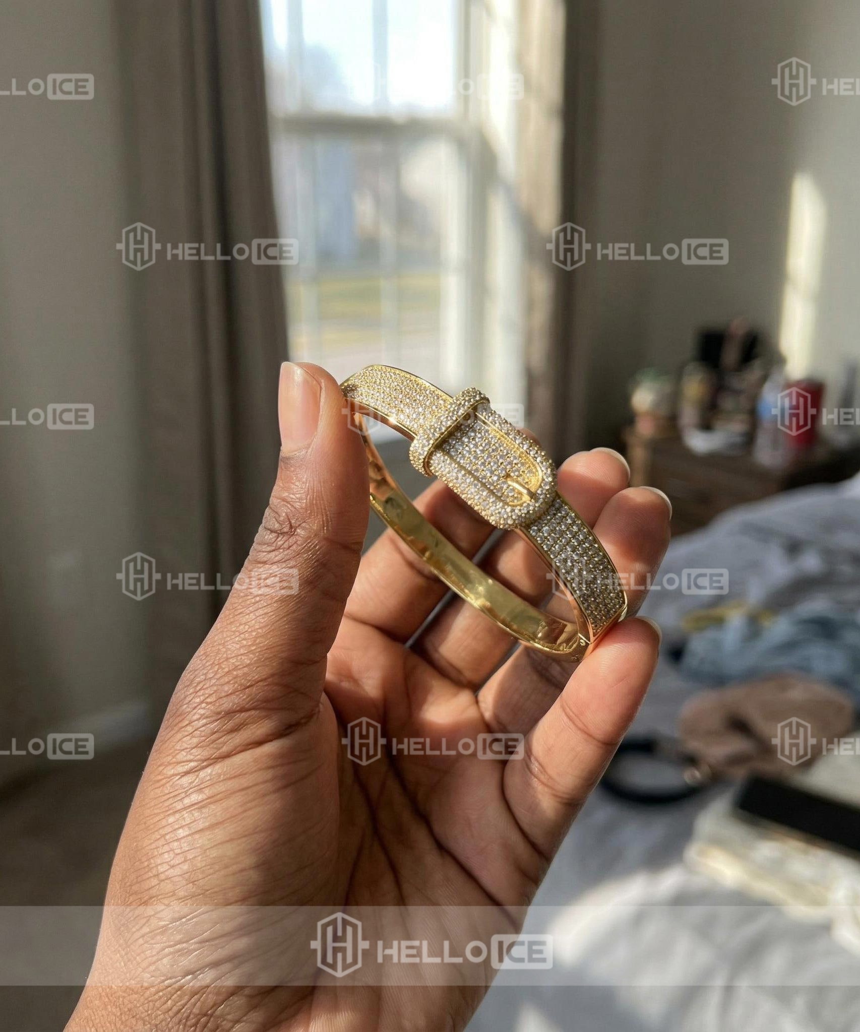 Helloice Review Image