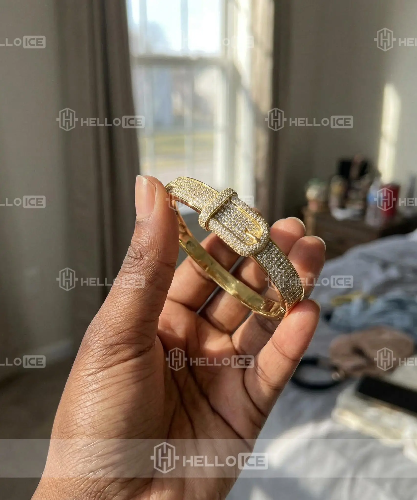 Helloice Review Image