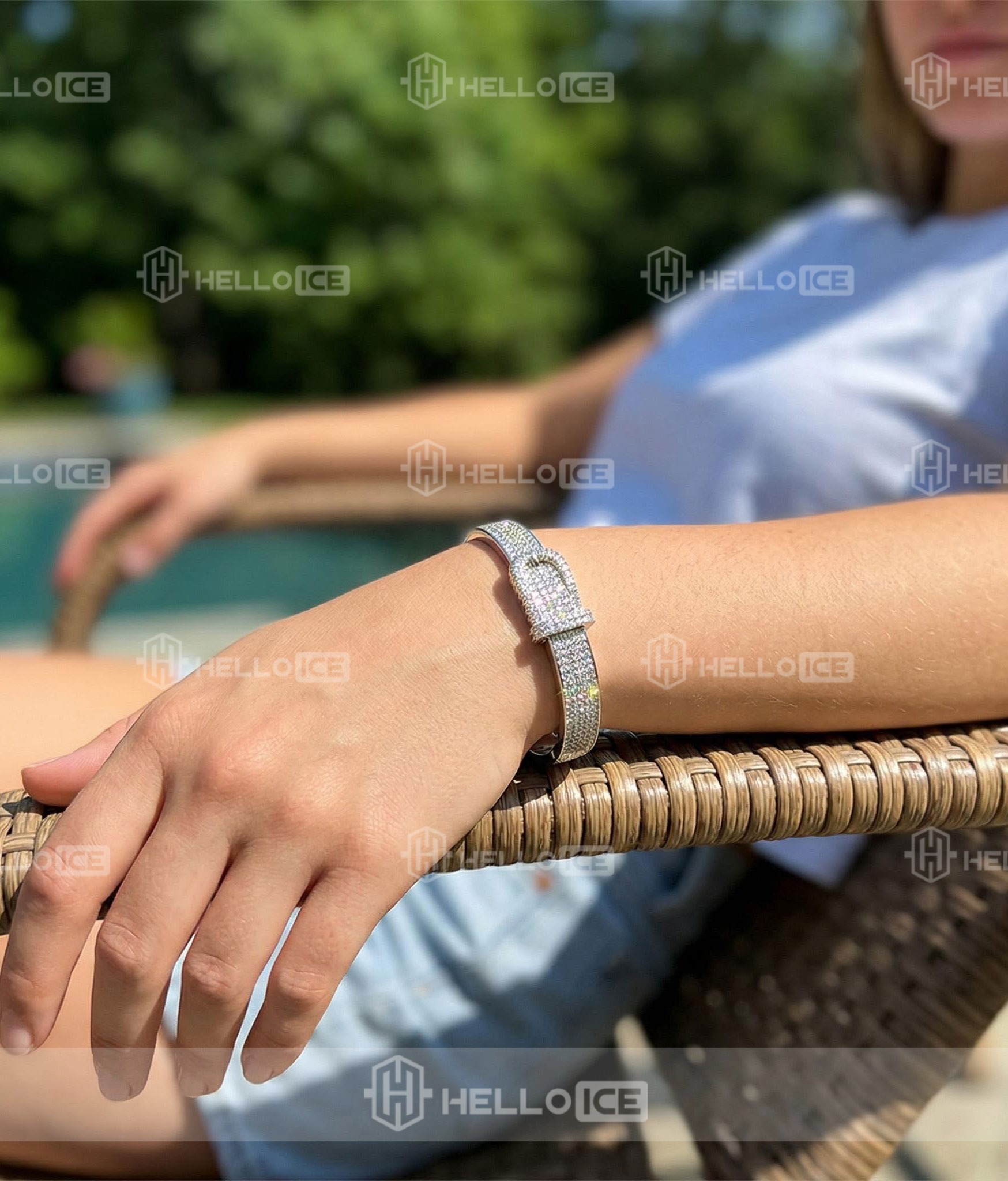 Helloice Review Image