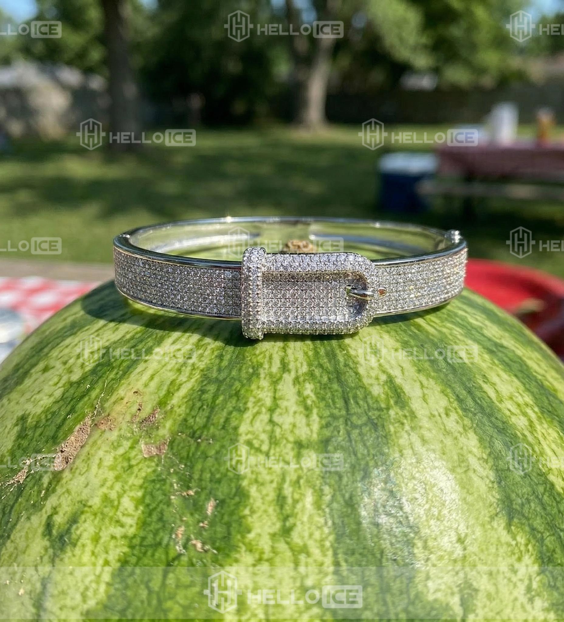 Helloice Review Image