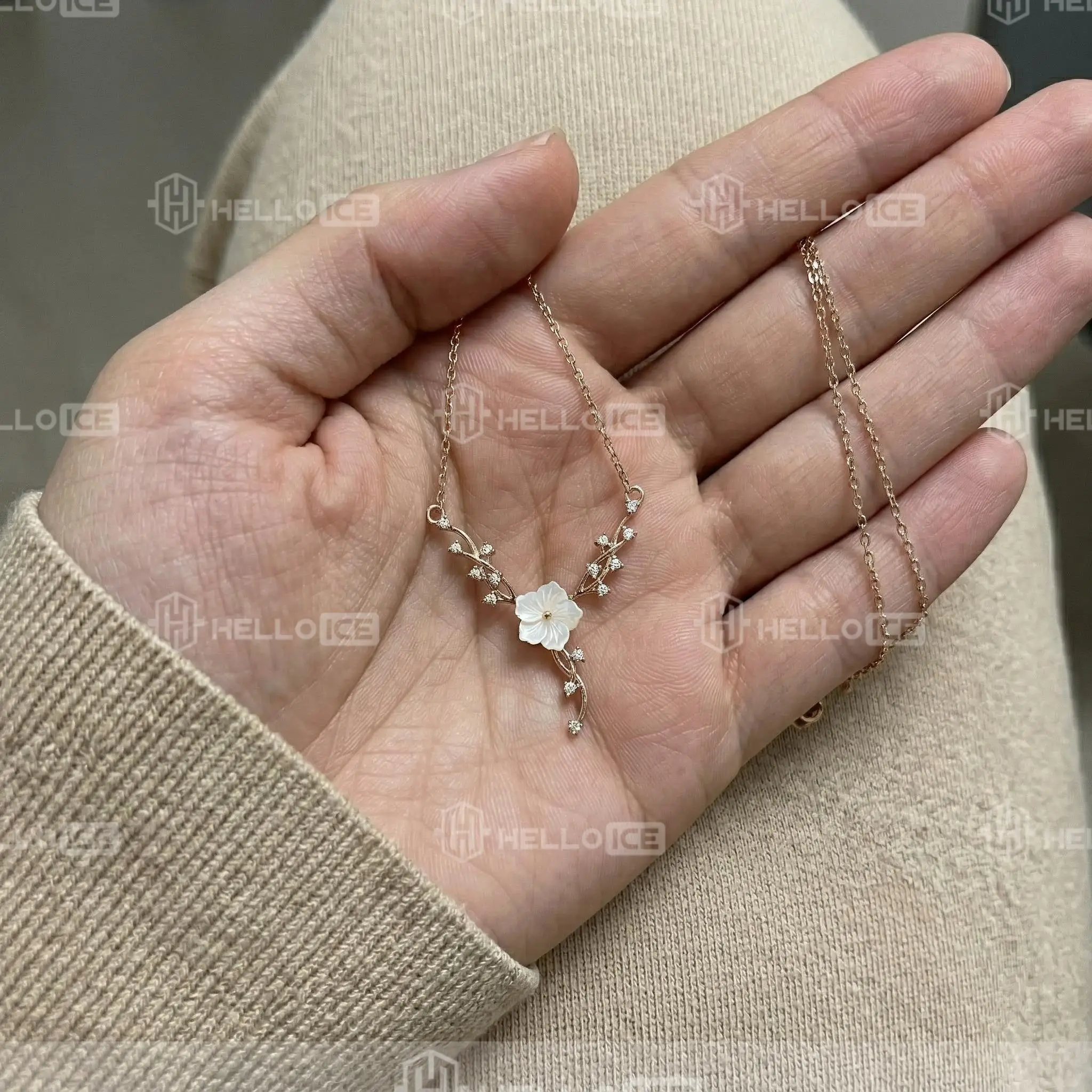Helloice Review Image