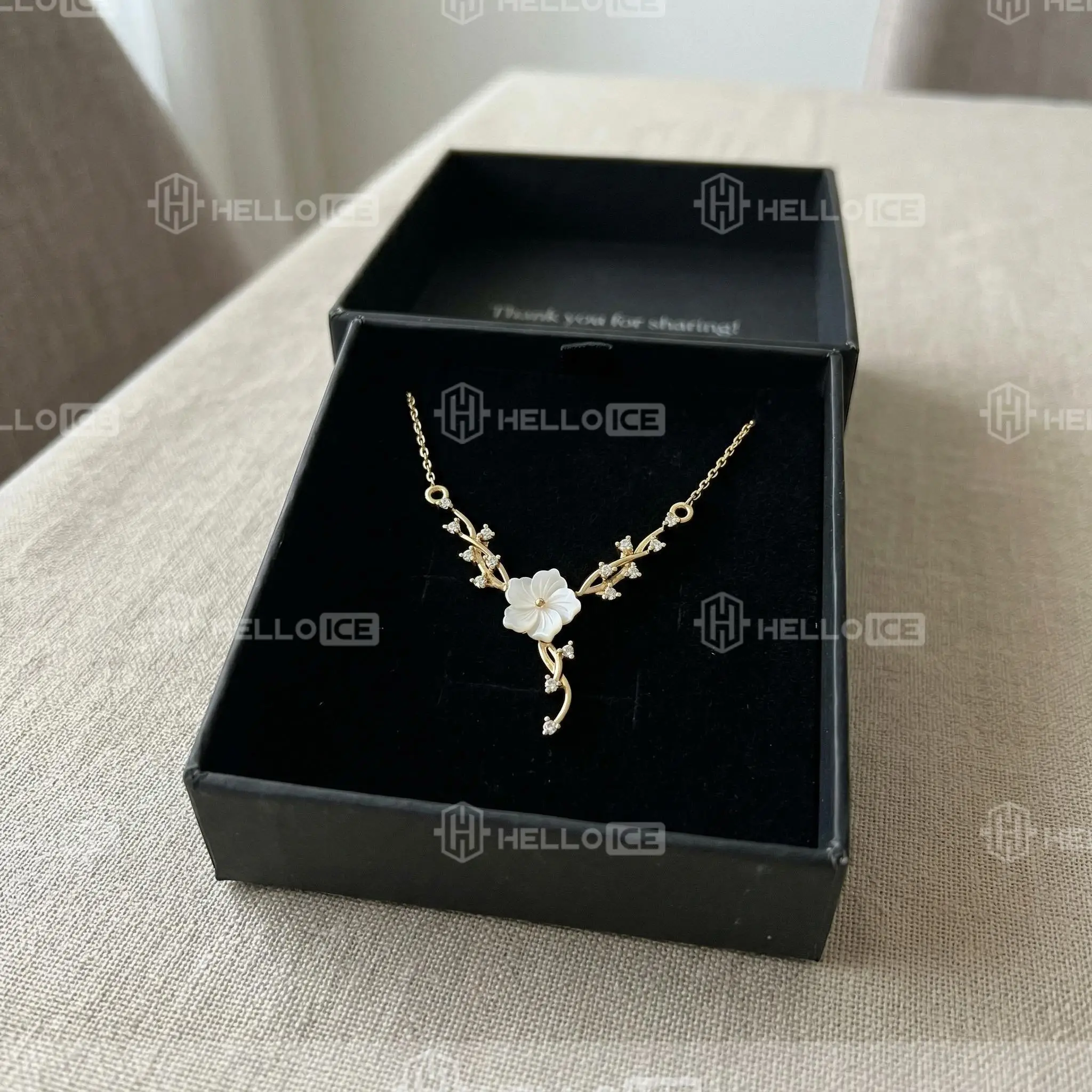 Helloice Review Image