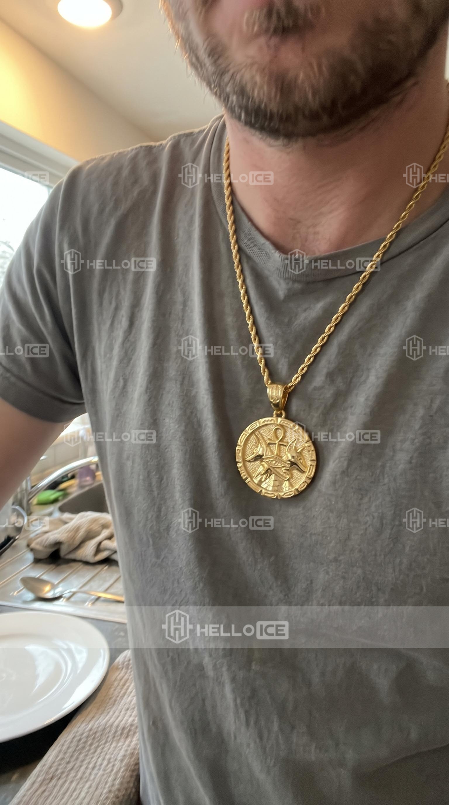 Helloice Review Image