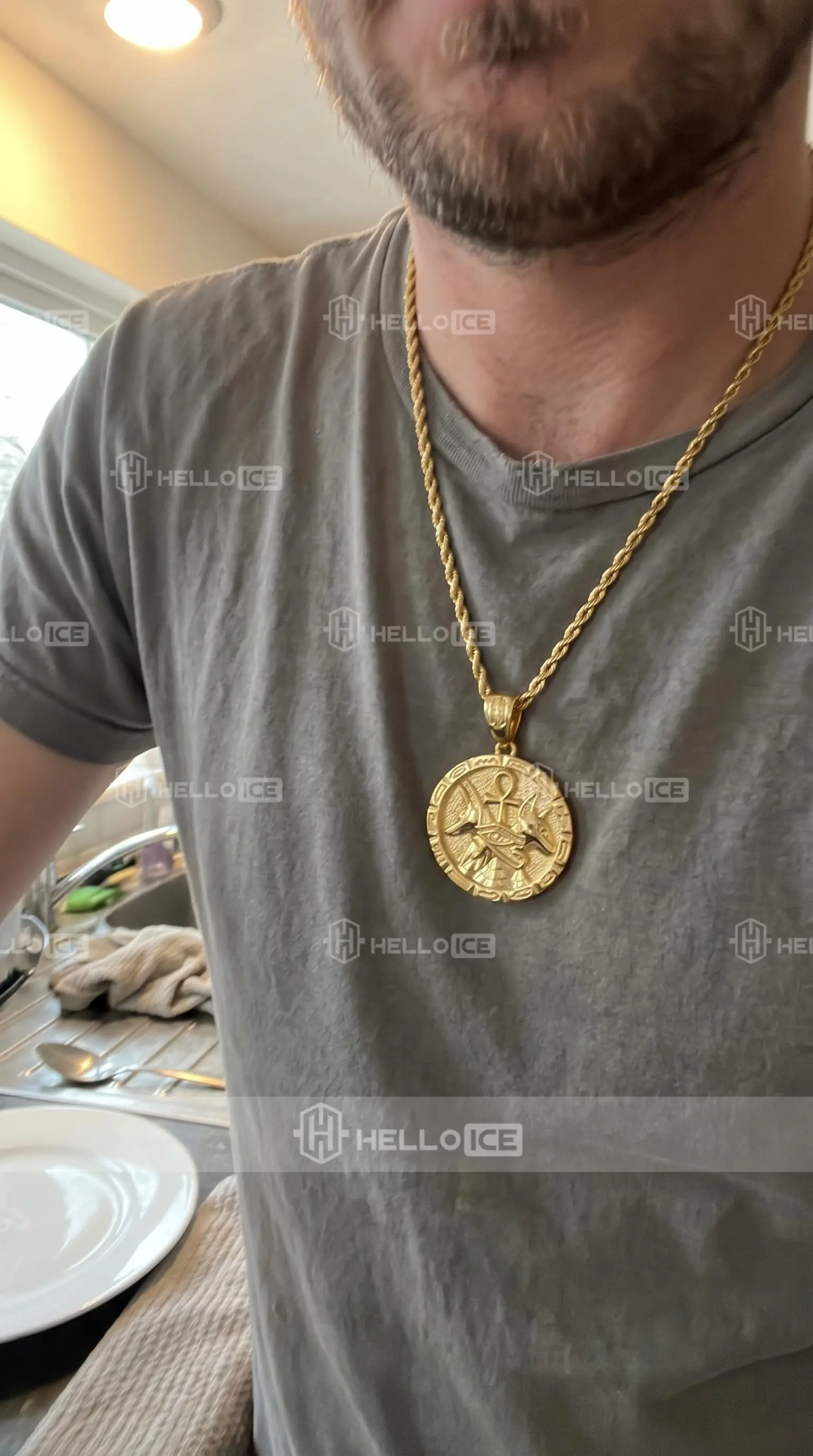 Helloice Review Image