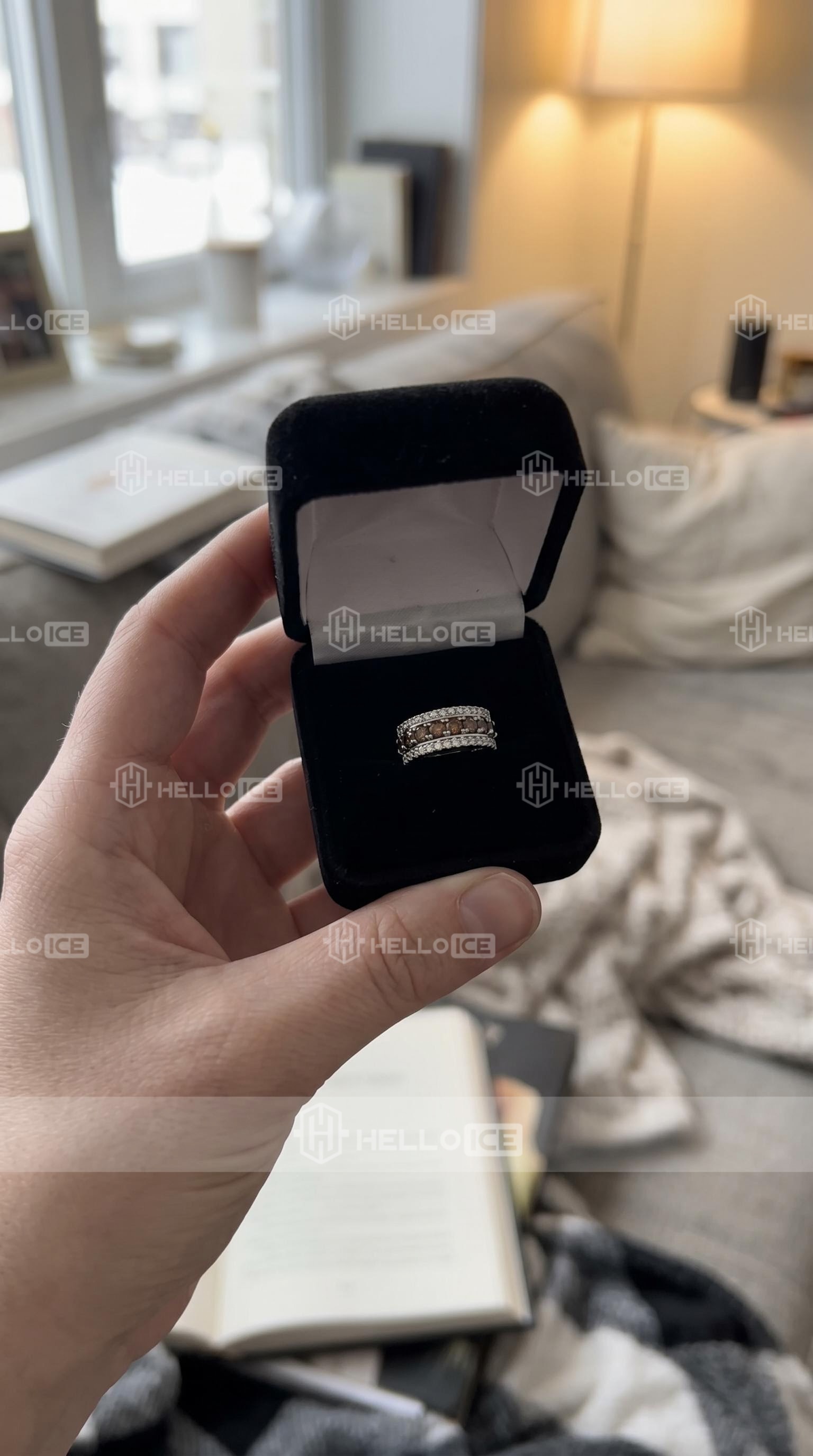 Helloice Review Image