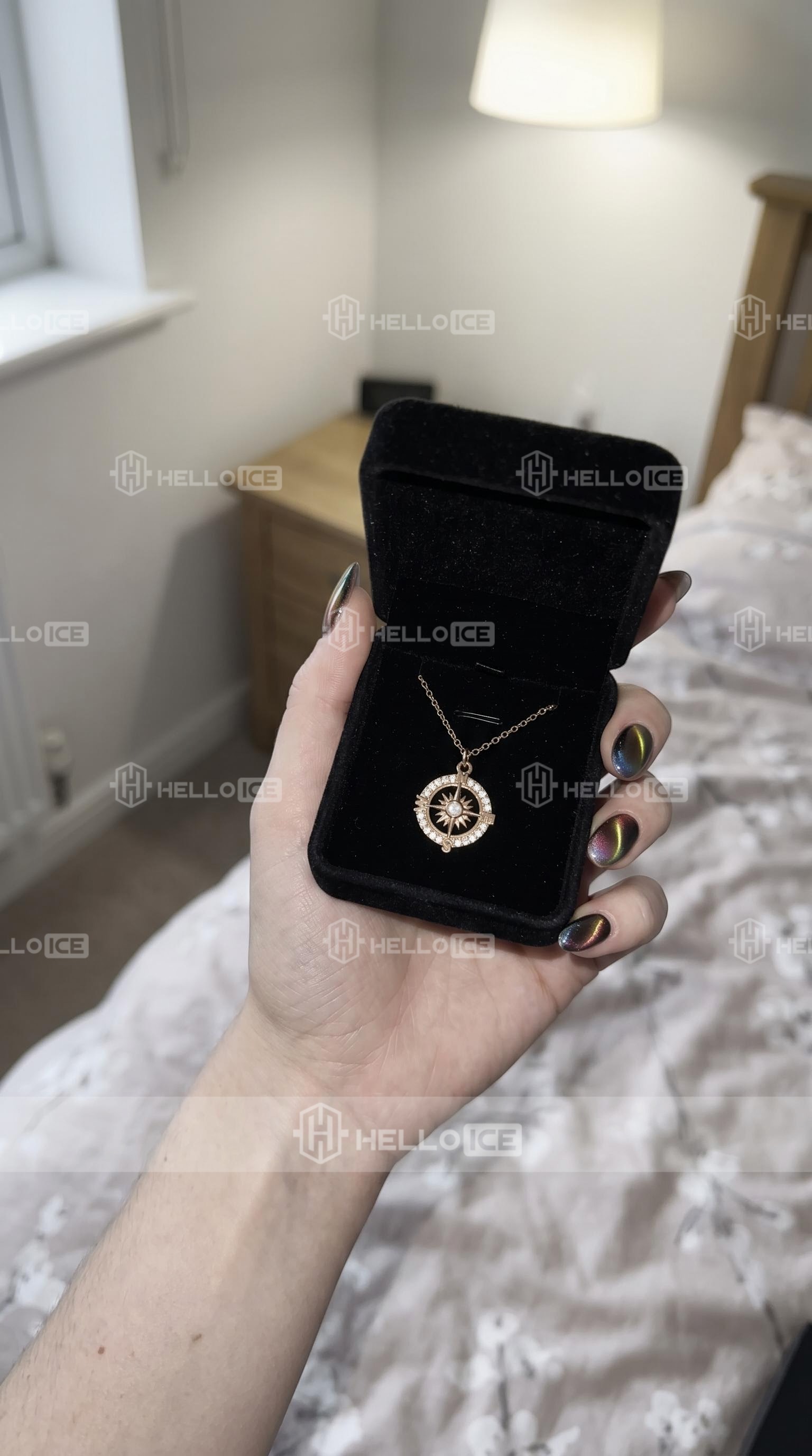 Helloice Review Image