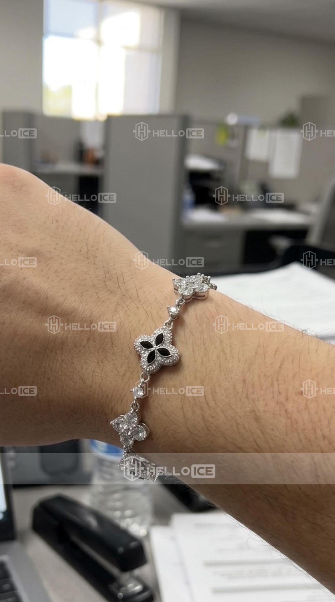 Helloice Review Image